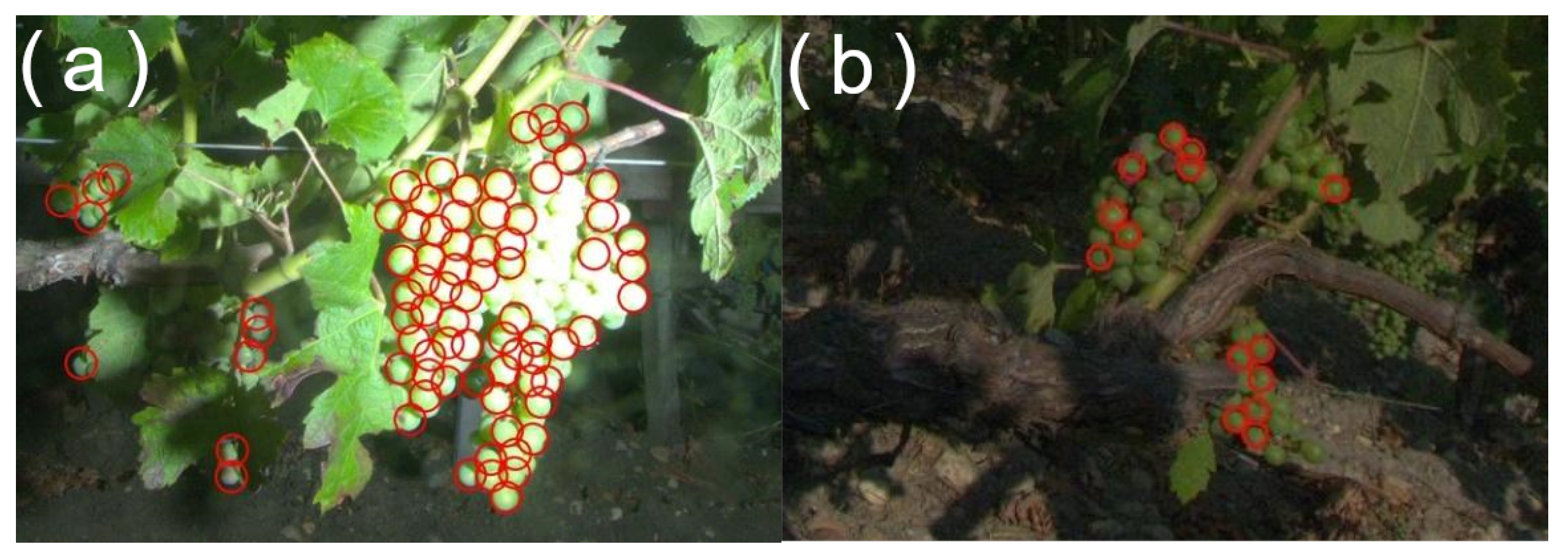 Sensors 23 00847 g011