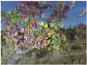 Sensors 23 00847 i004