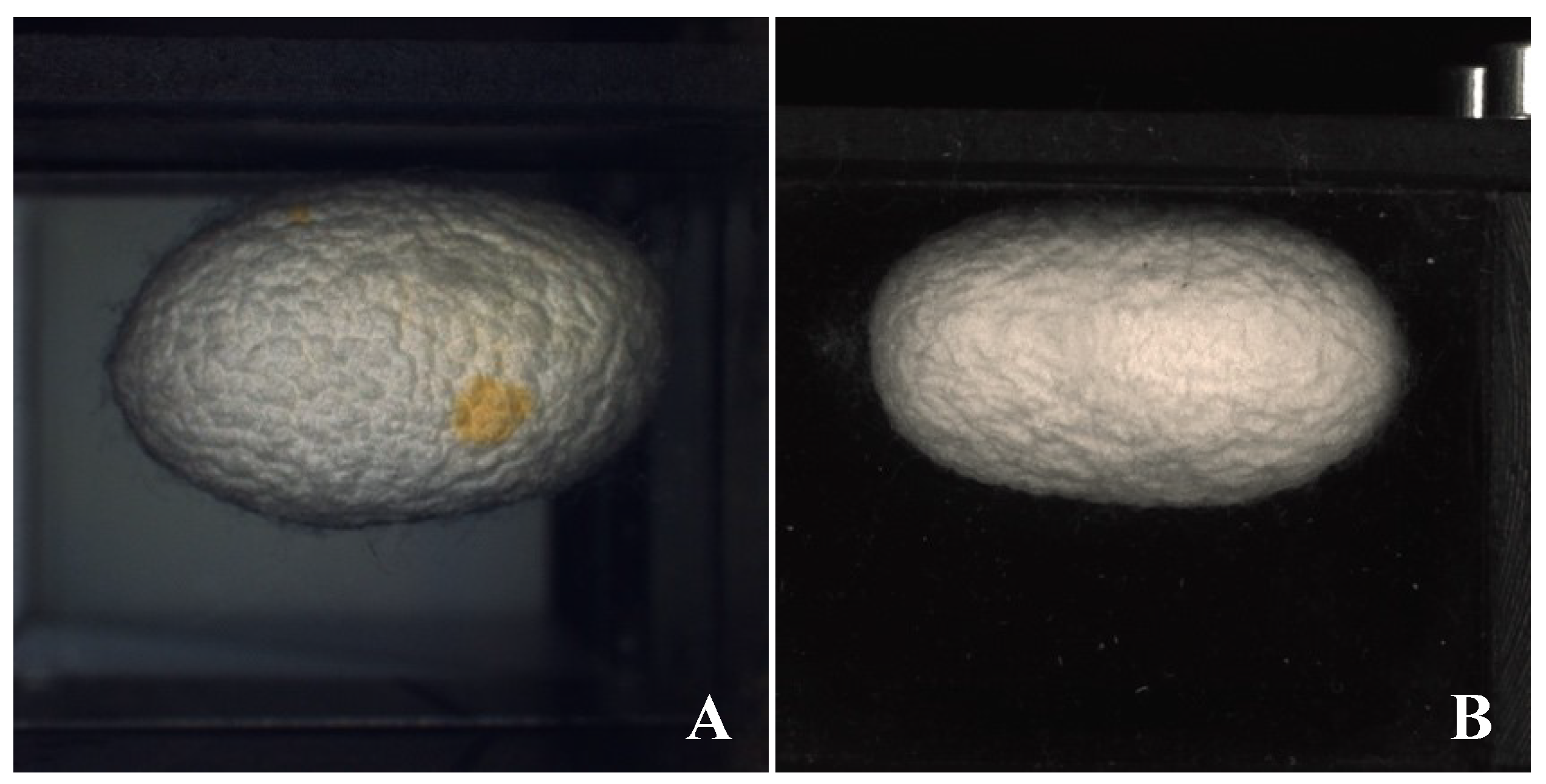 Sensors 23 00868 g004