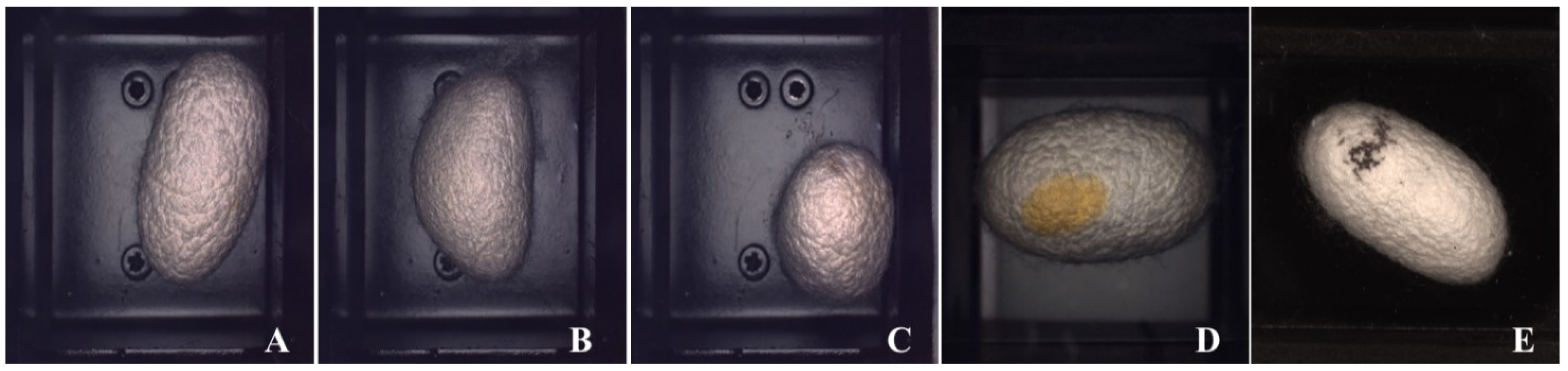 Sensors 23 00868 g006