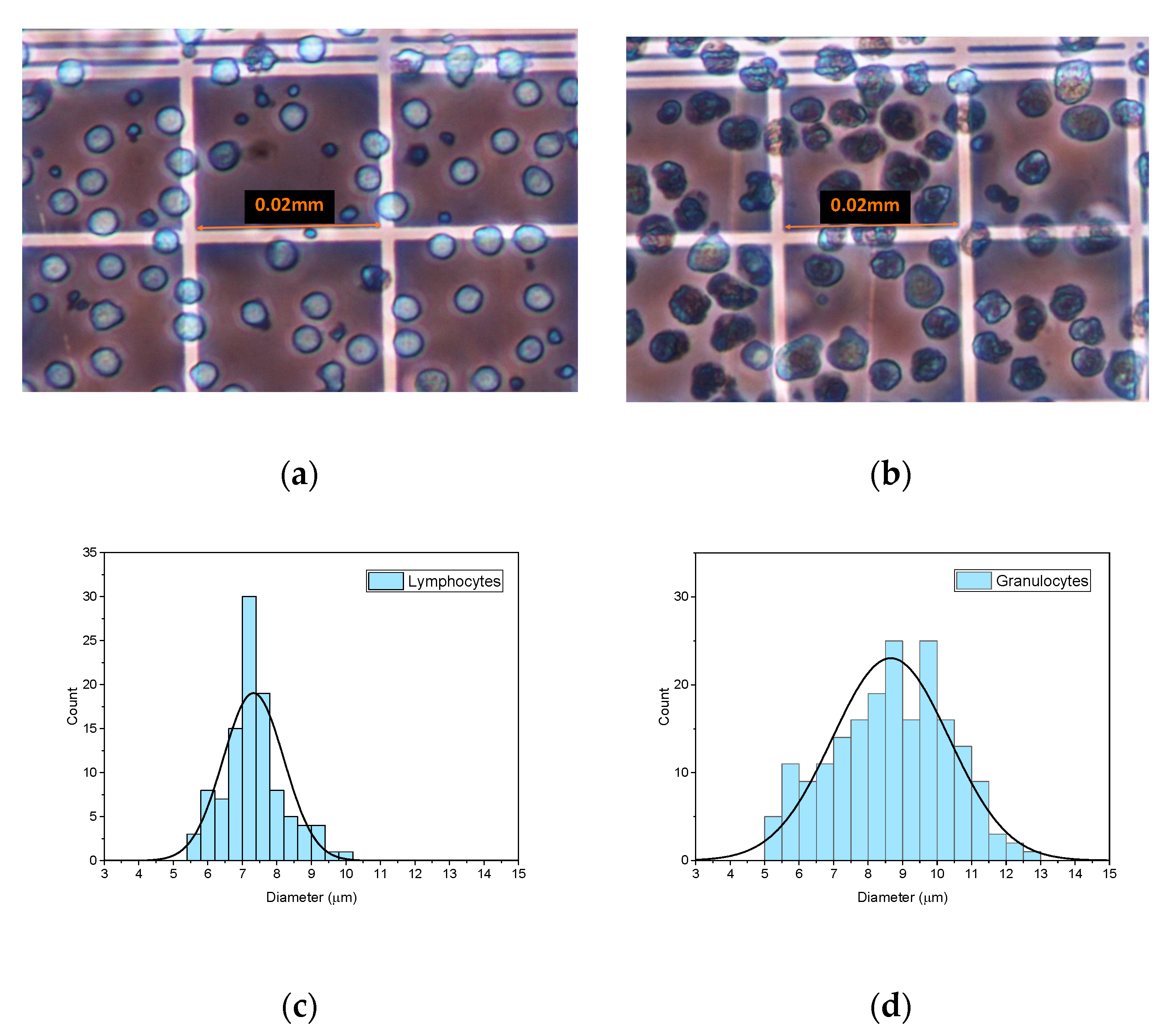 Sensors 23 00977 g001