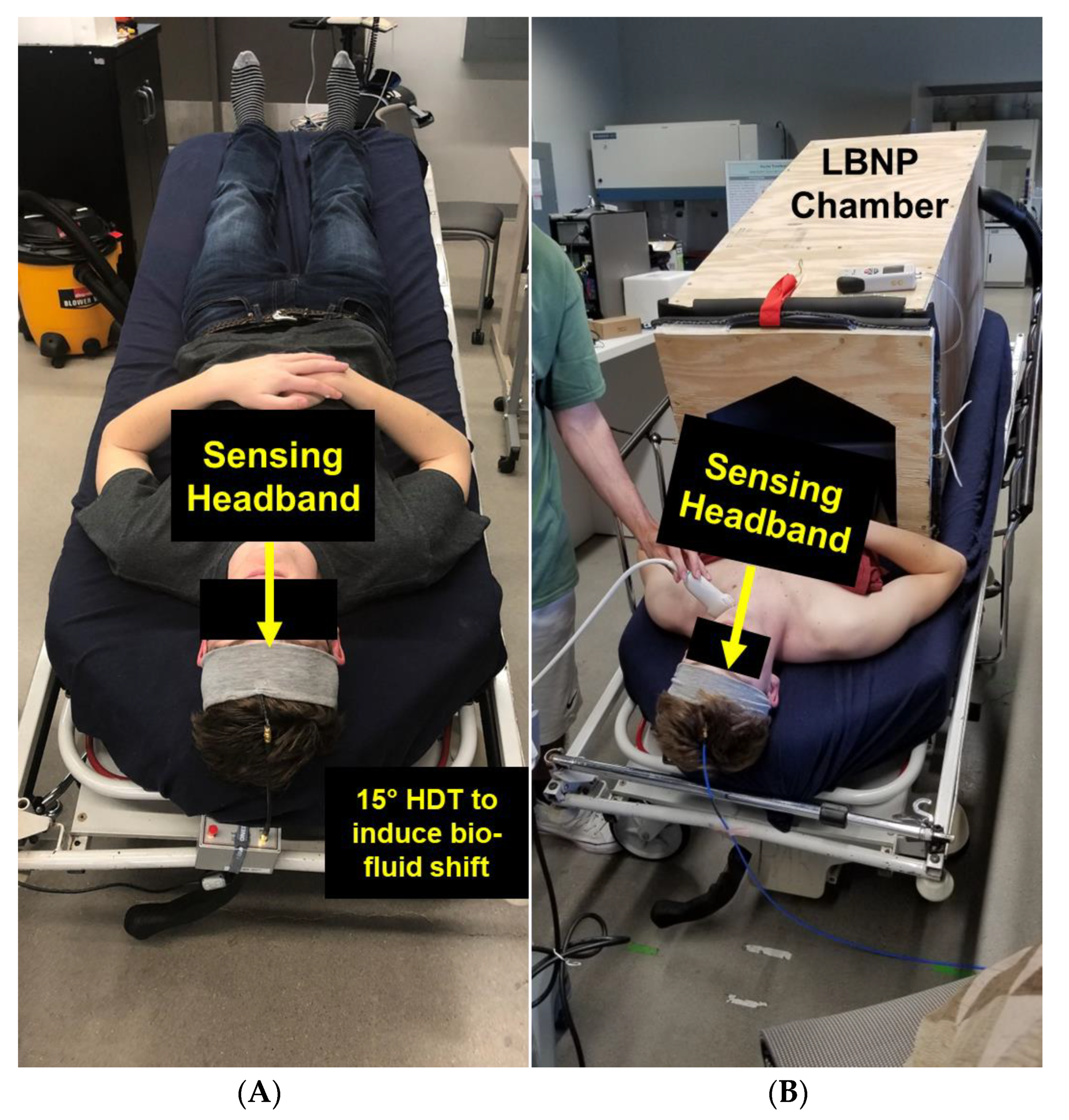 Sensors 23 00985 g002