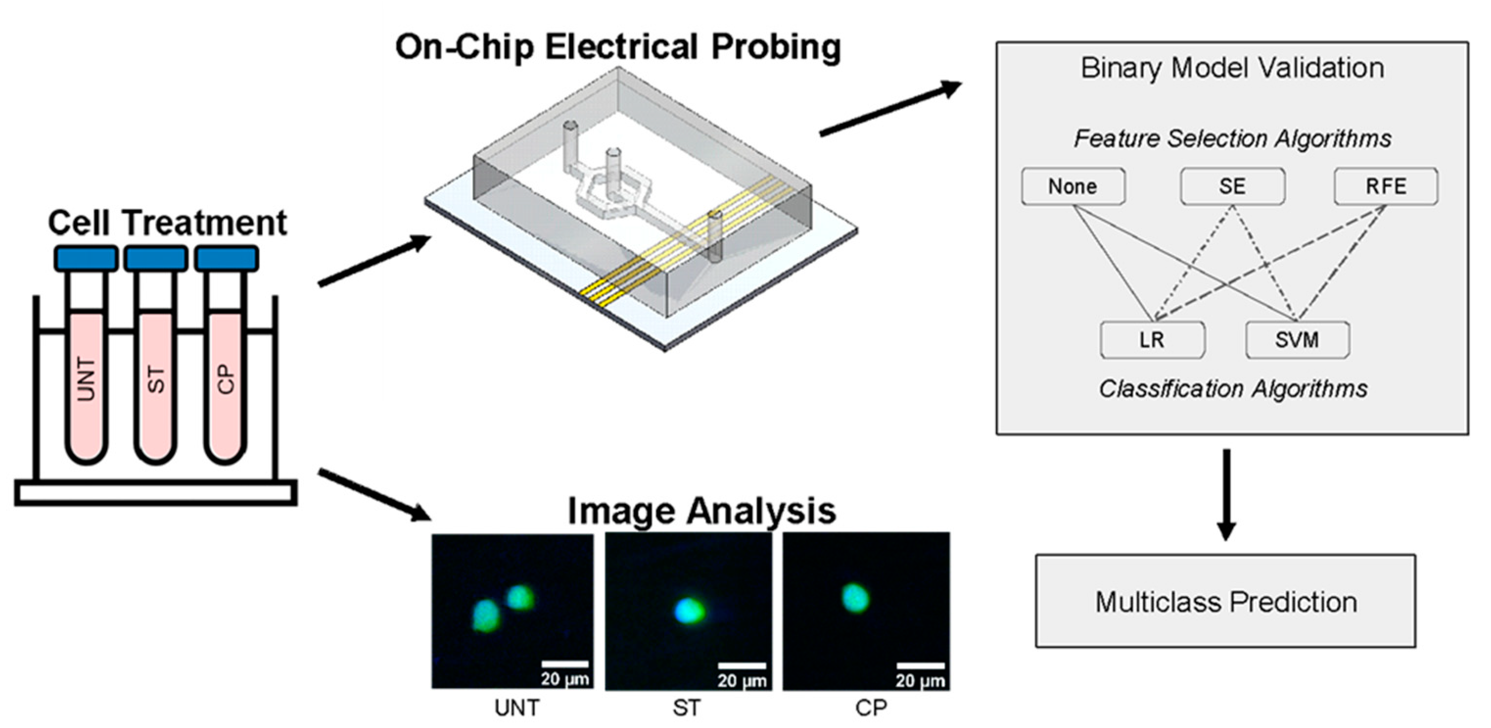 Sensors 23 01001 g001 Sensors 23 01001 g001