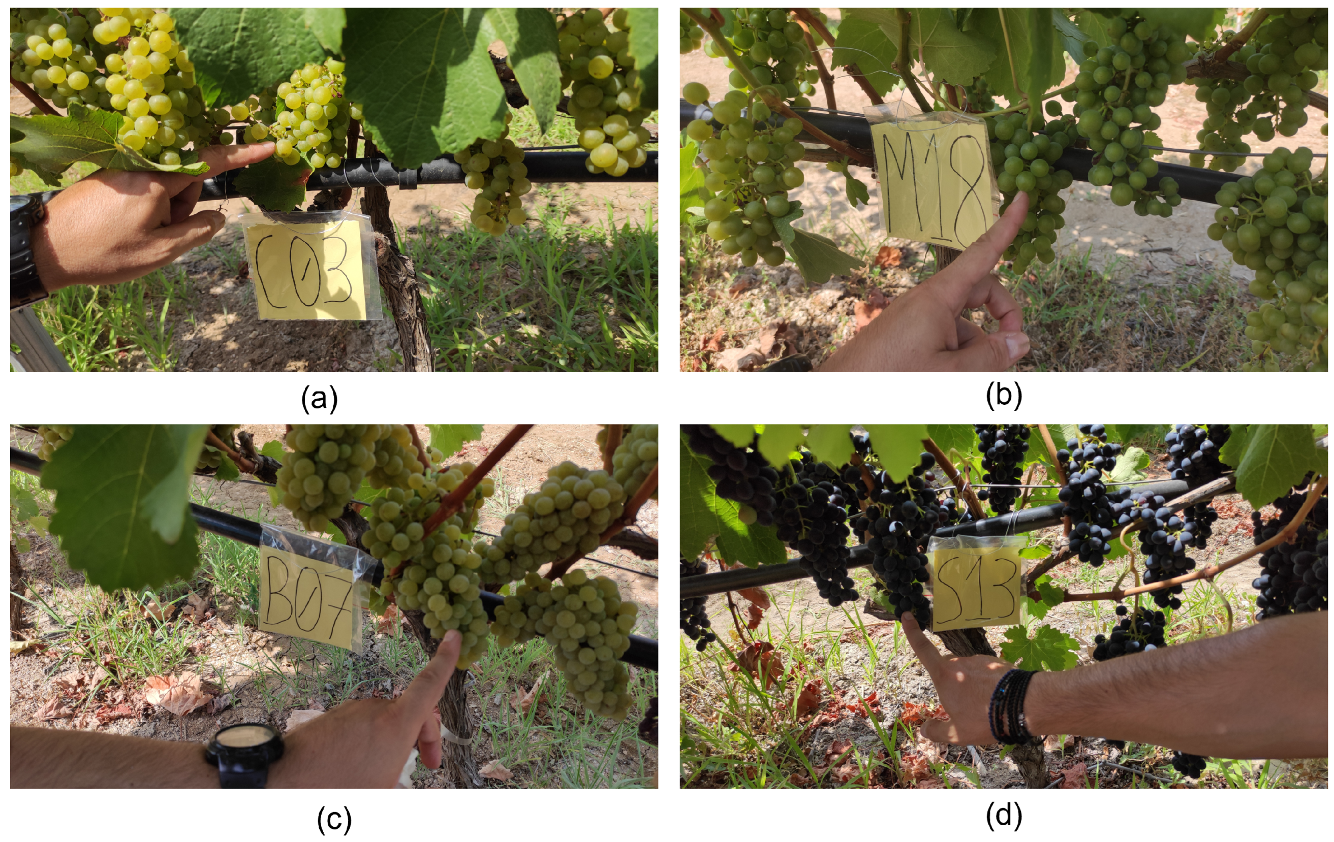 Sensors 23 01065 g003