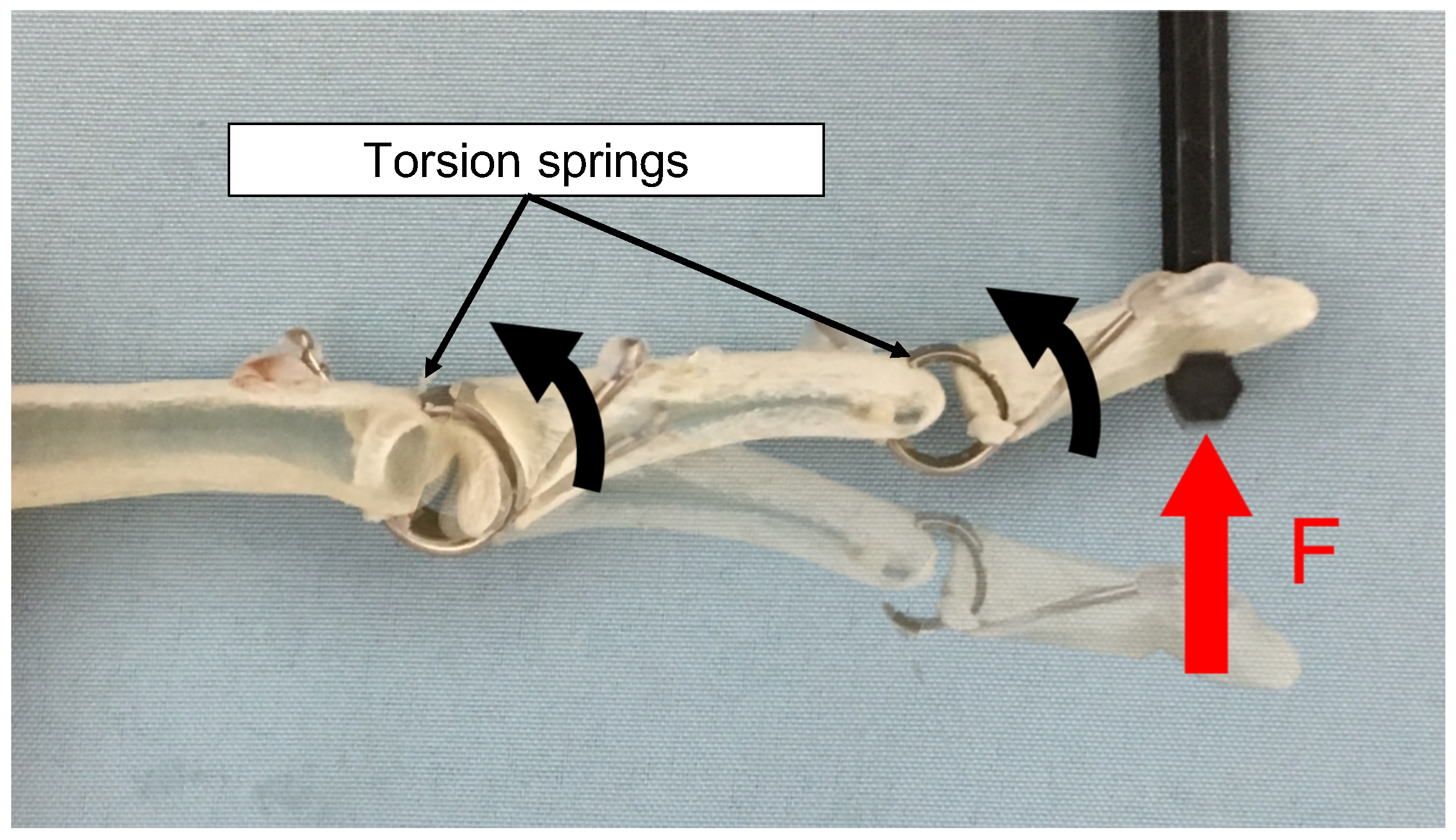 Sensors 23 01136 g003 Sensors 23 01136 g003