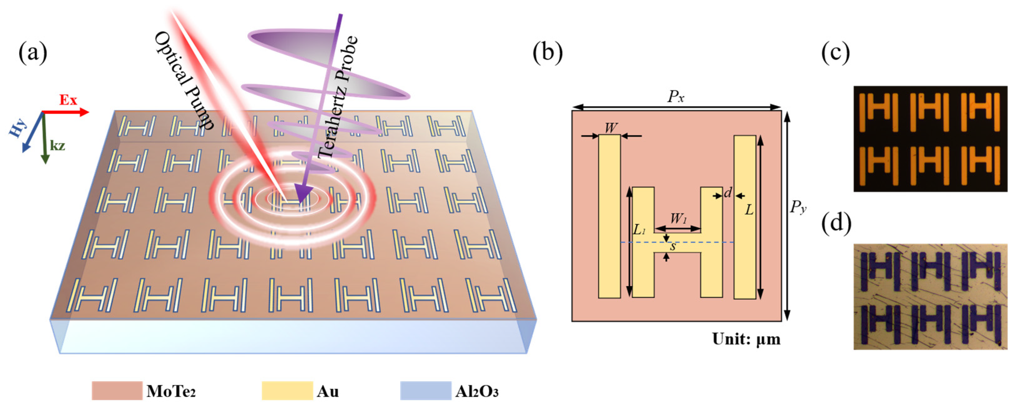 Sensors 23 01174 g001 Sensors 23 01174 g001