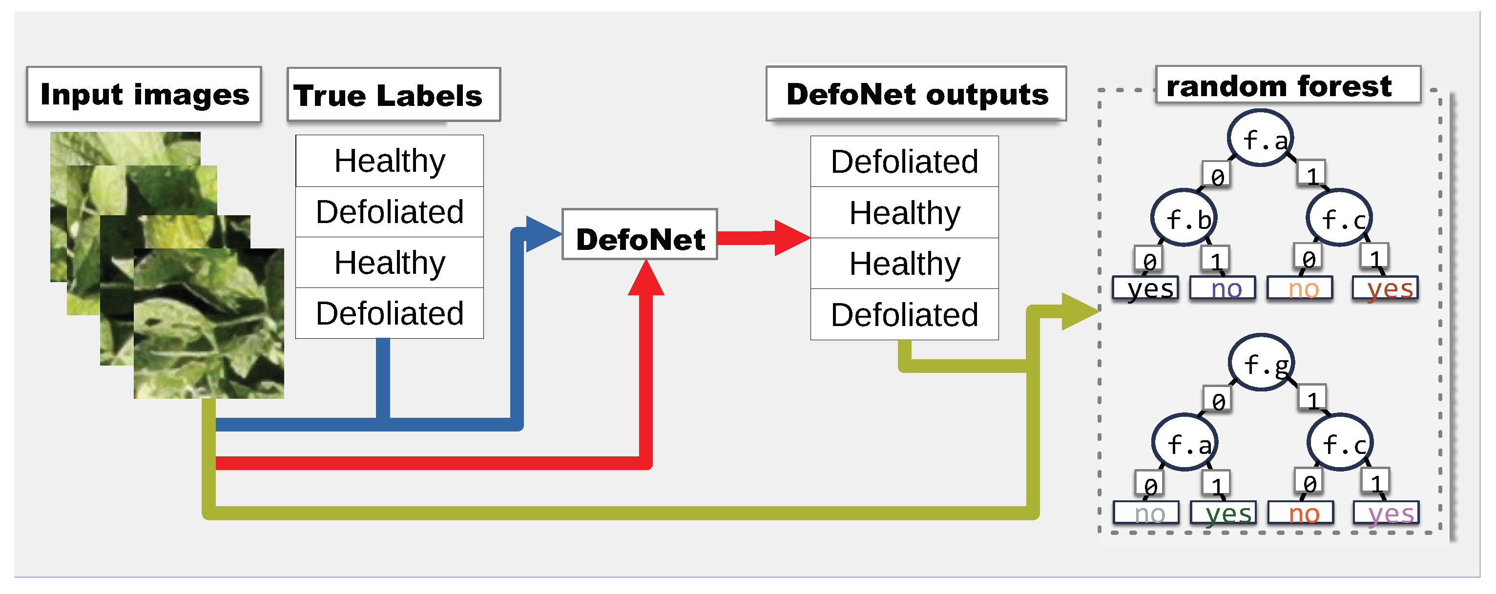 Sensors 23 01187 g001