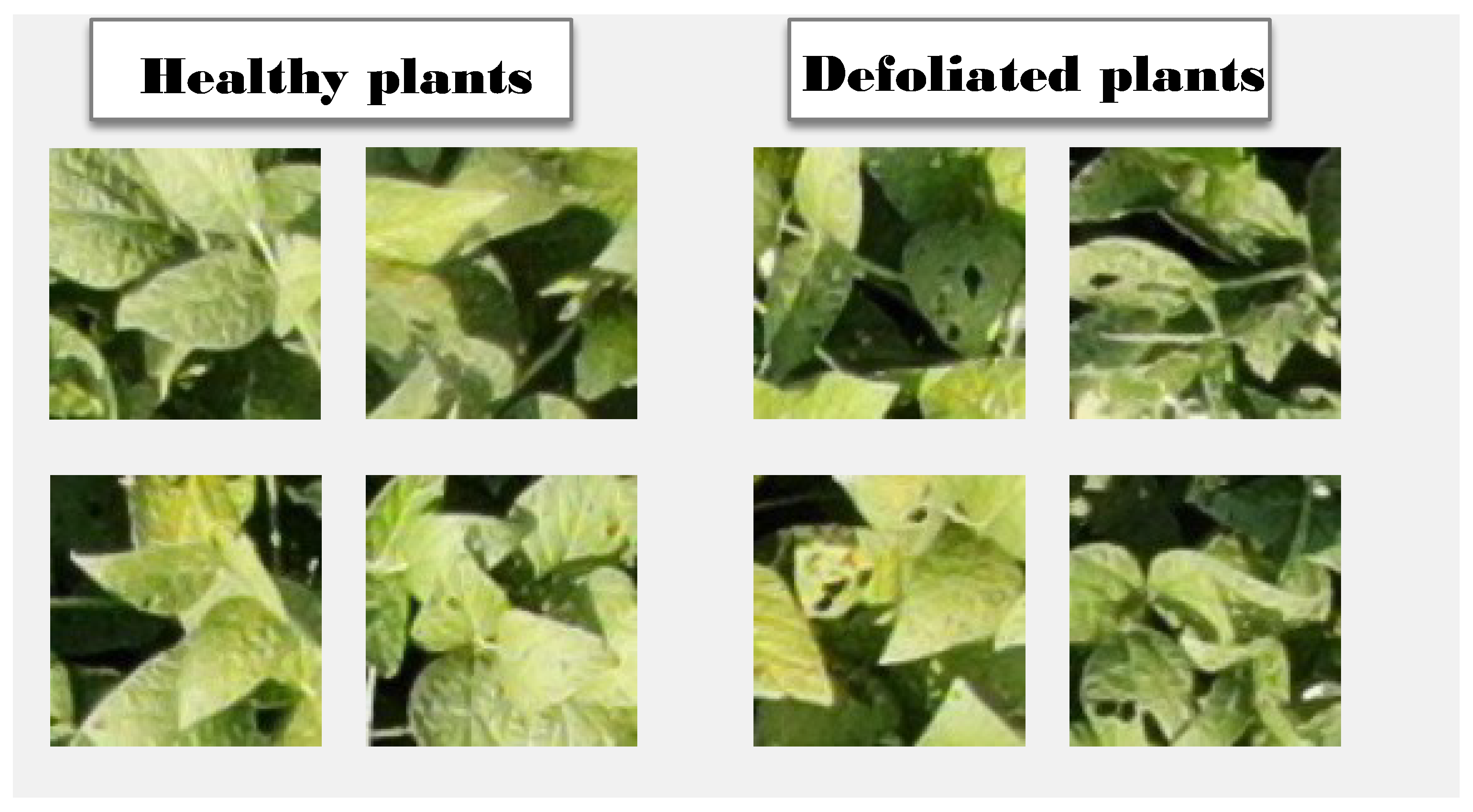 Sensors 23 01187 g002