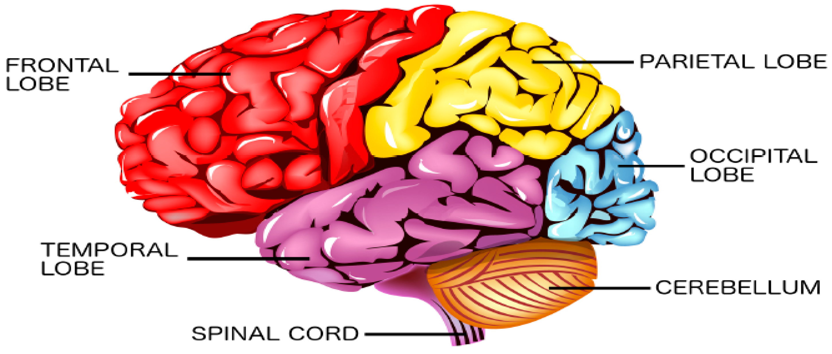 Sensors 23 01255 g002