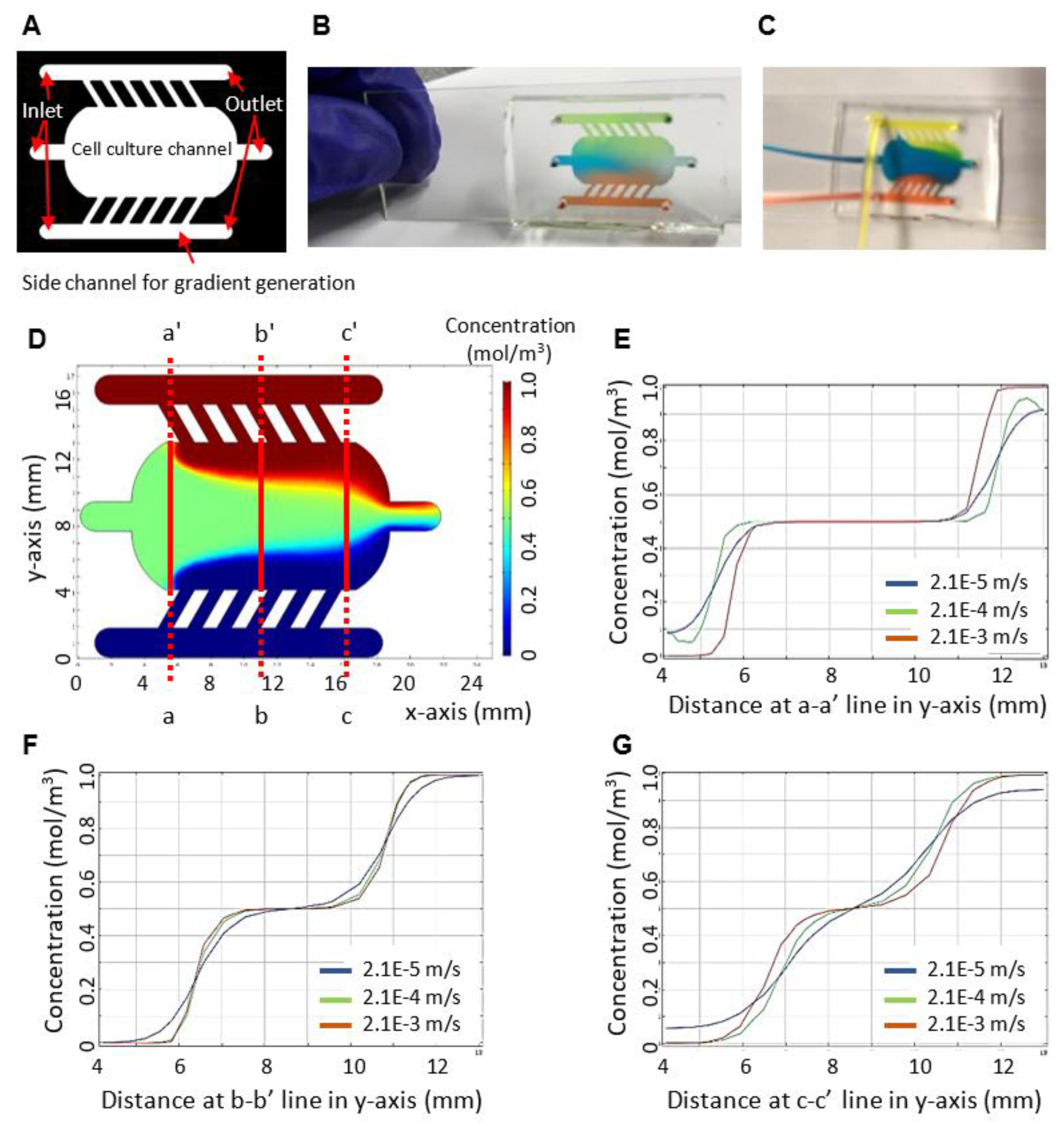 Sensors 23 01265 g001 Sensors 23 01265 g001