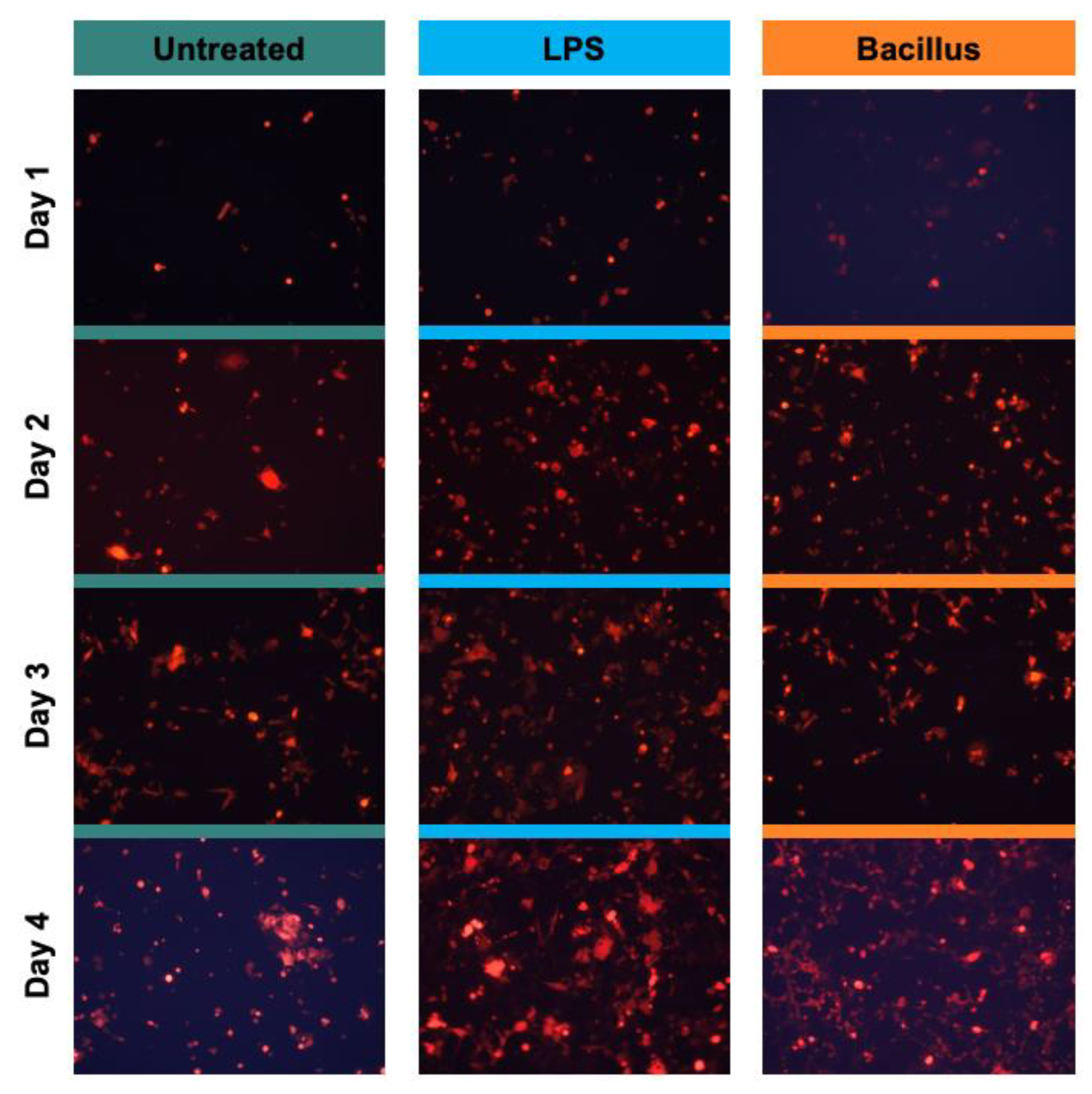 Sensors 23 01265 g002 Sensors 23 01265 g002