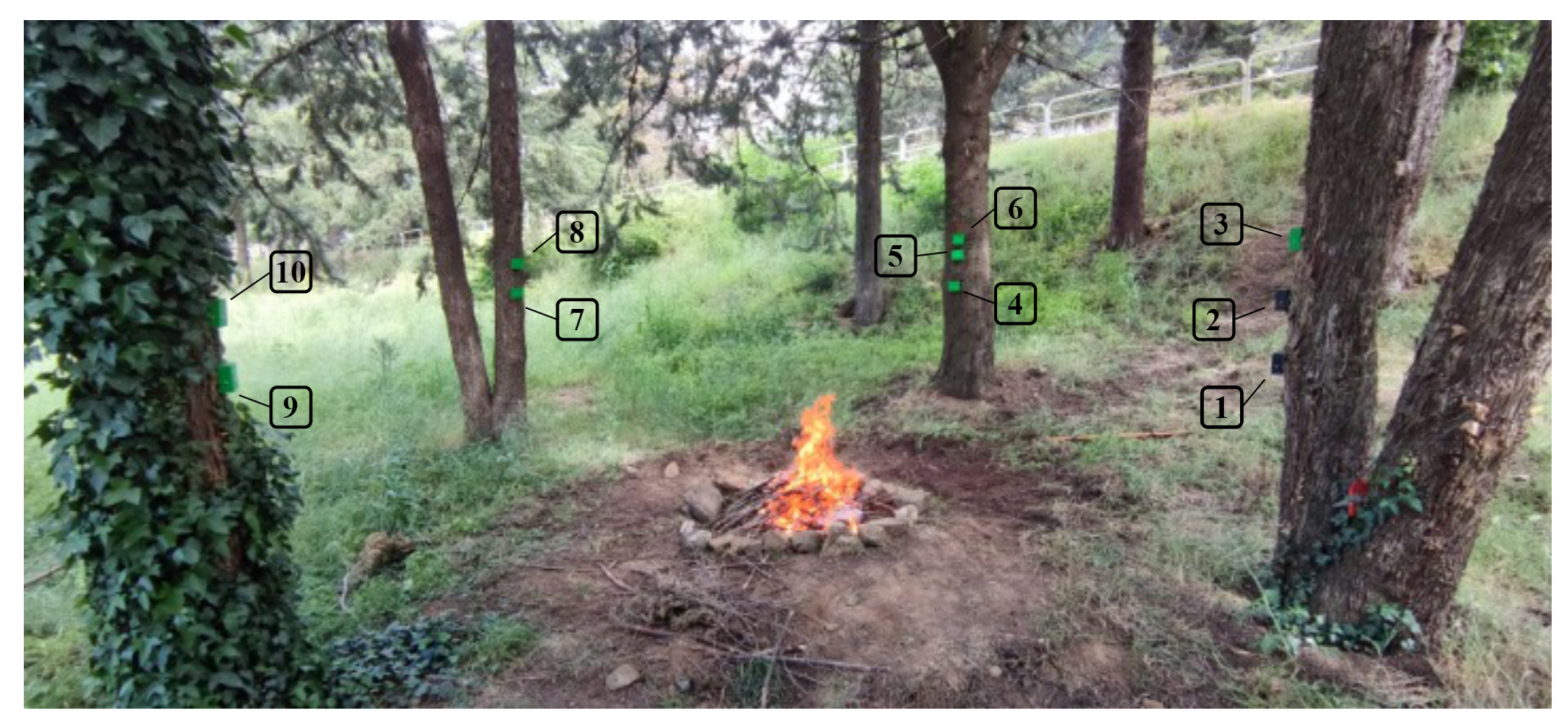 Sensors 23 01282 g011