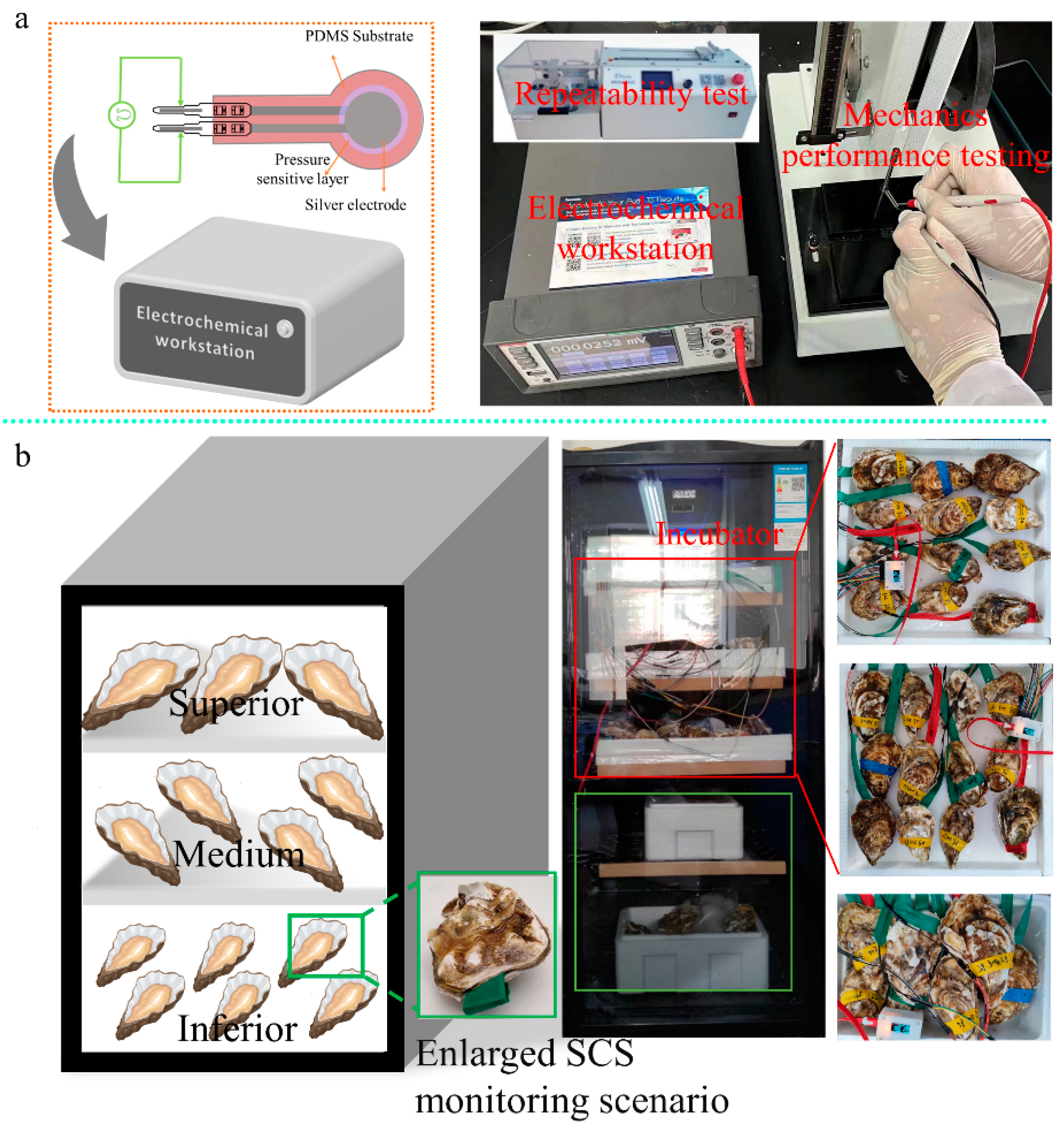 Sensors 23 01308 g006 Sensors 23 01308 g006