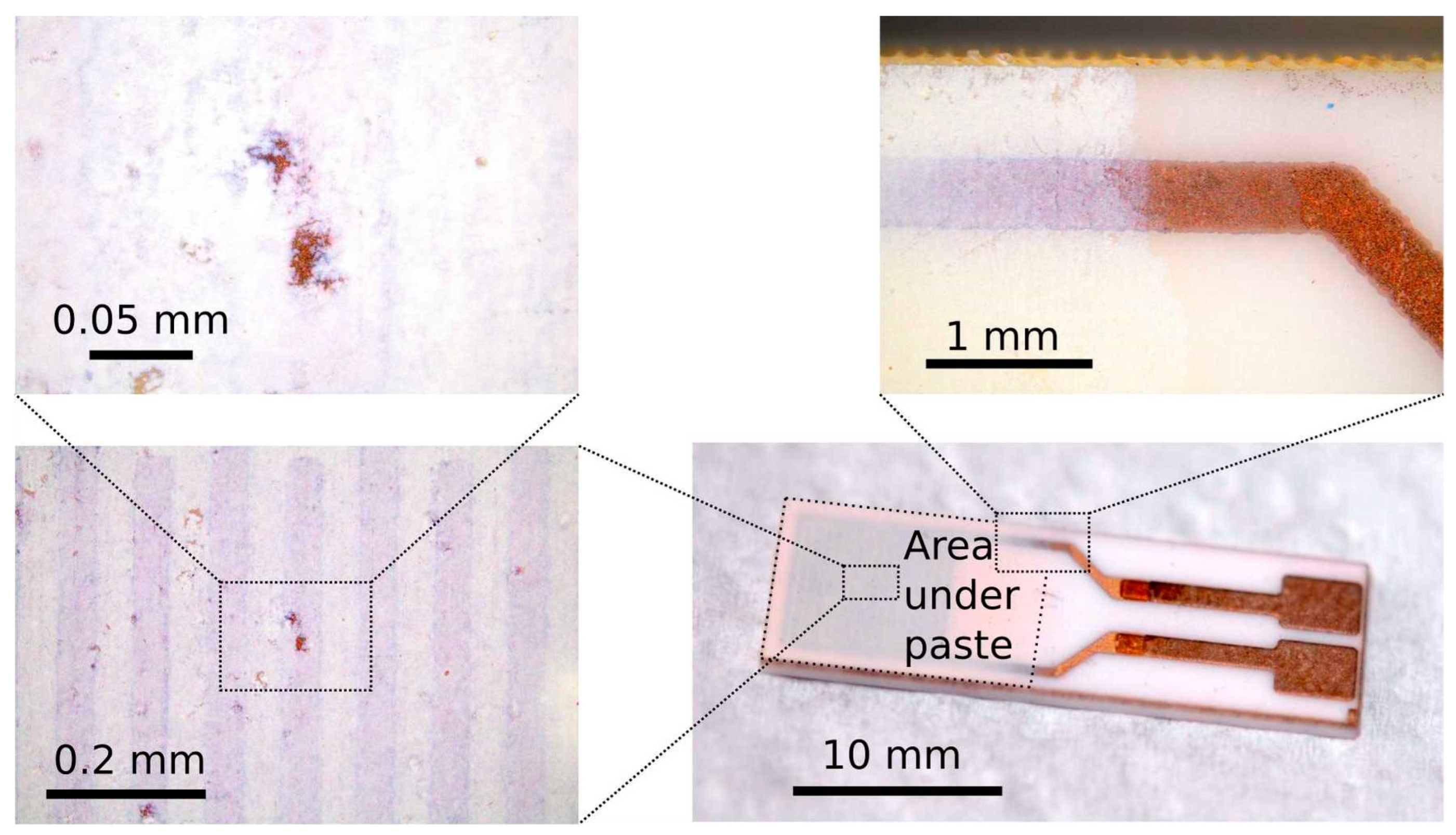 Sensors 23 01313 g005