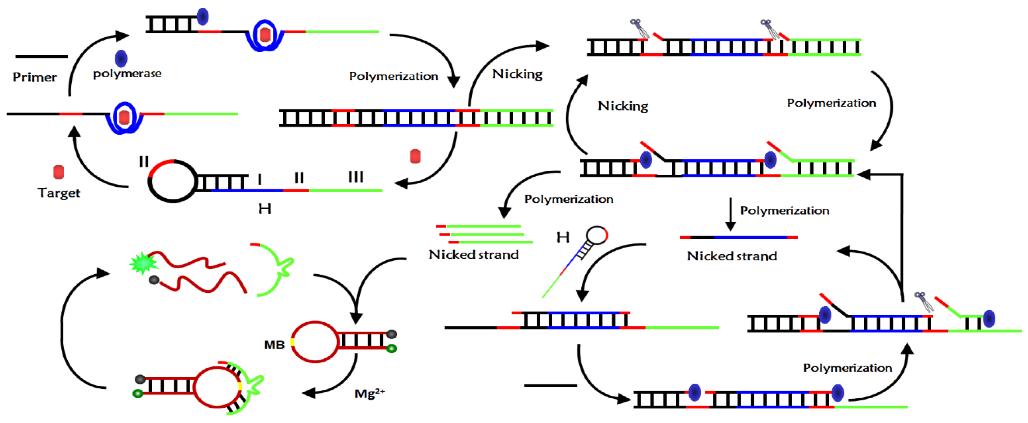 Sensors 23 01317 g001 Sensors 23 01317 g001