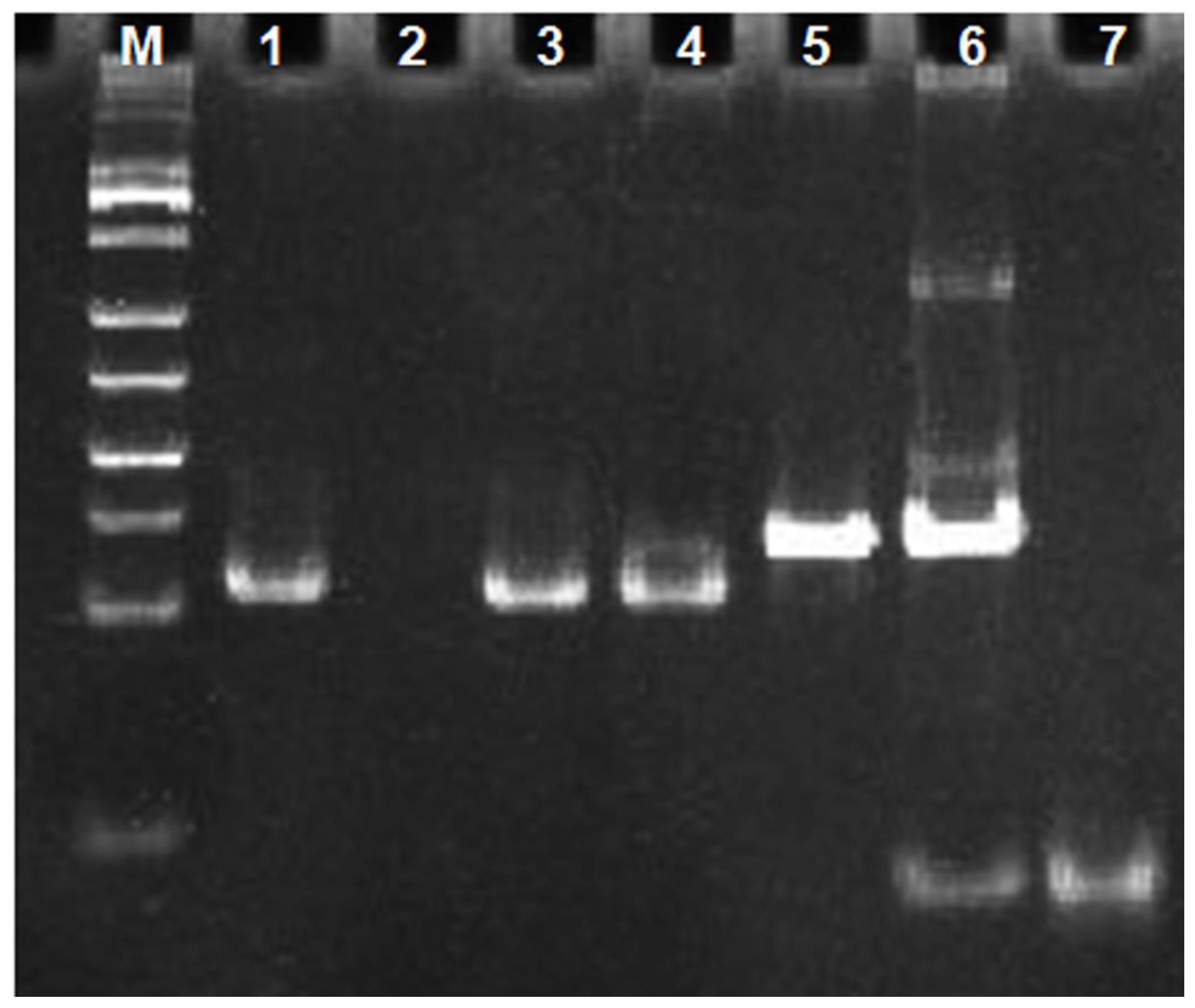 Sensors 23 01317 g003 Sensors 23 01317 g003