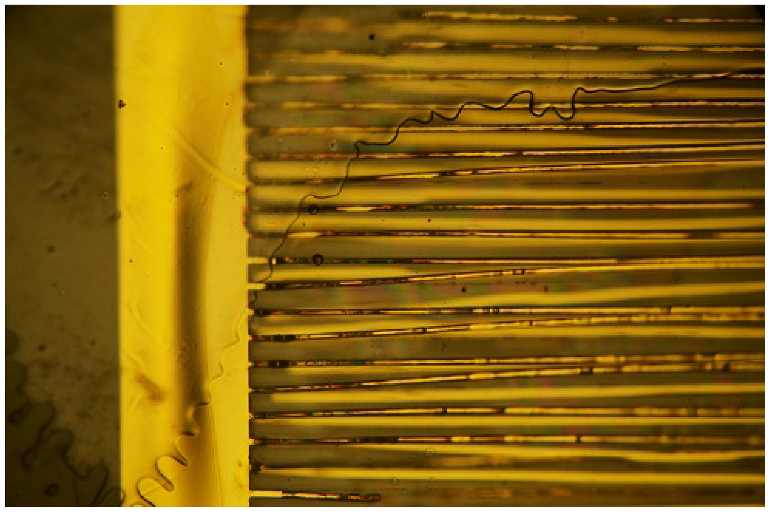 Sensors 23 01340 g005 Sensors 23 01340 g005