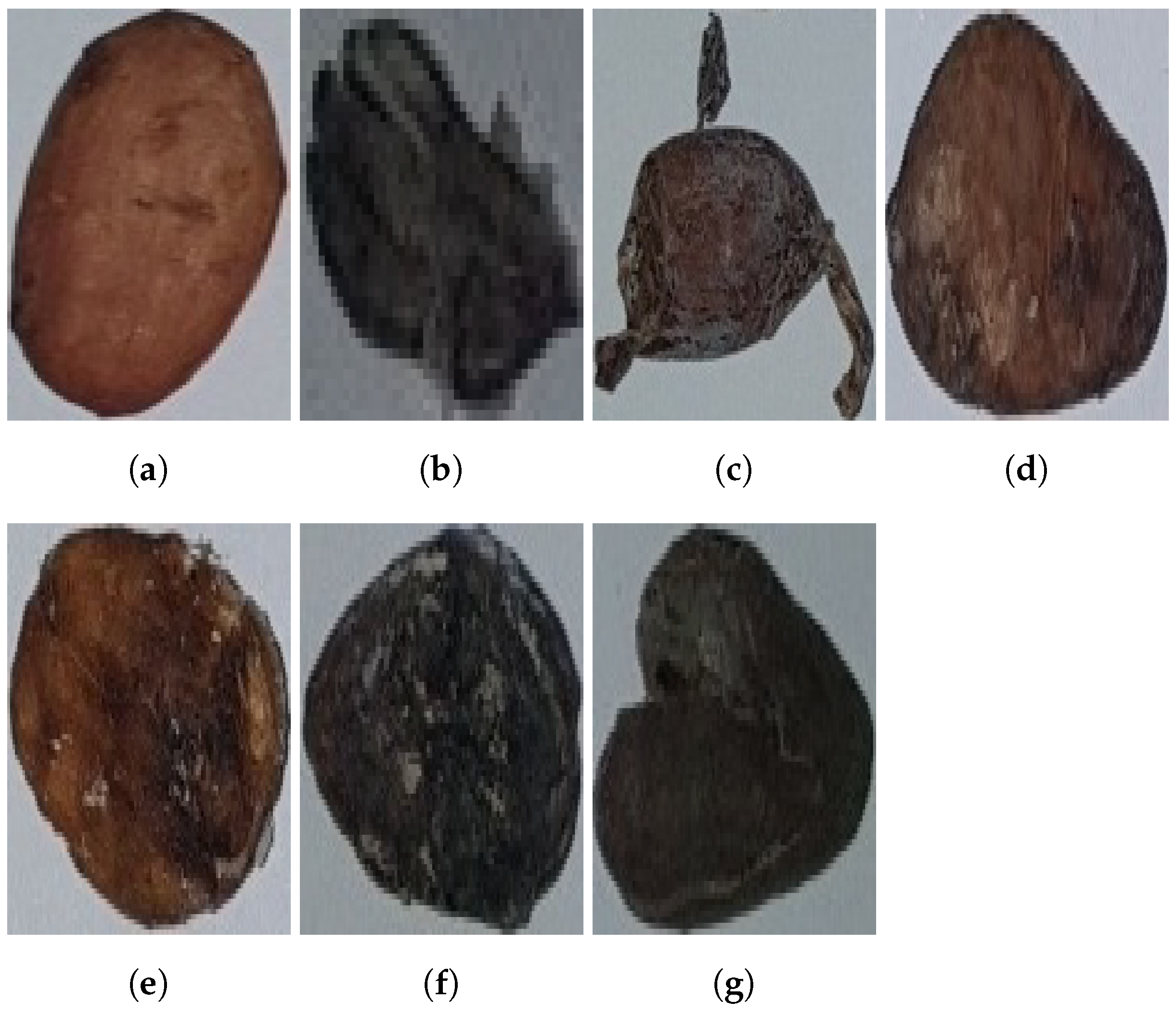 Sensors 23 01358 g004