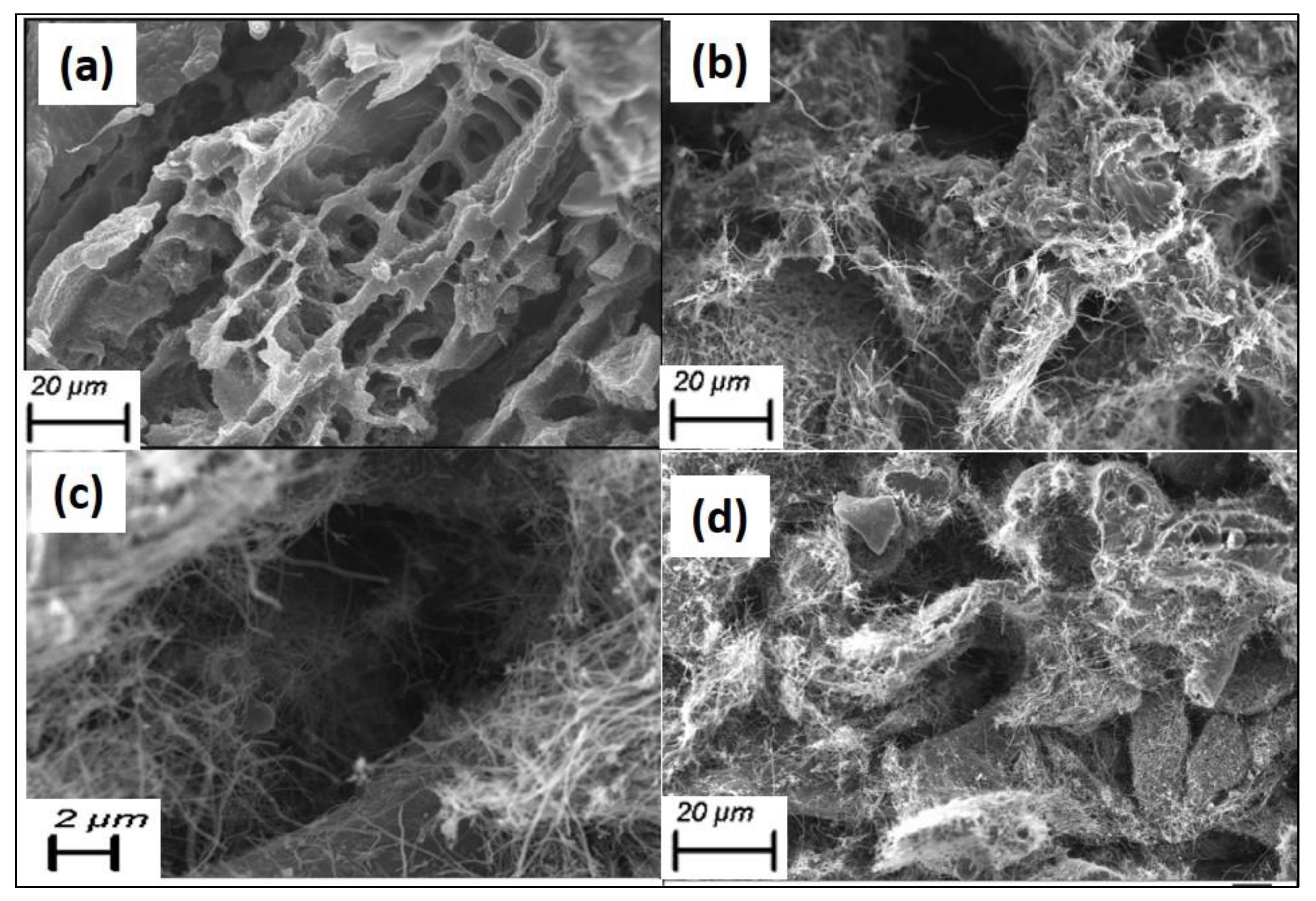 Sensors 23 01373 g003 Sensors 23 01373 g003