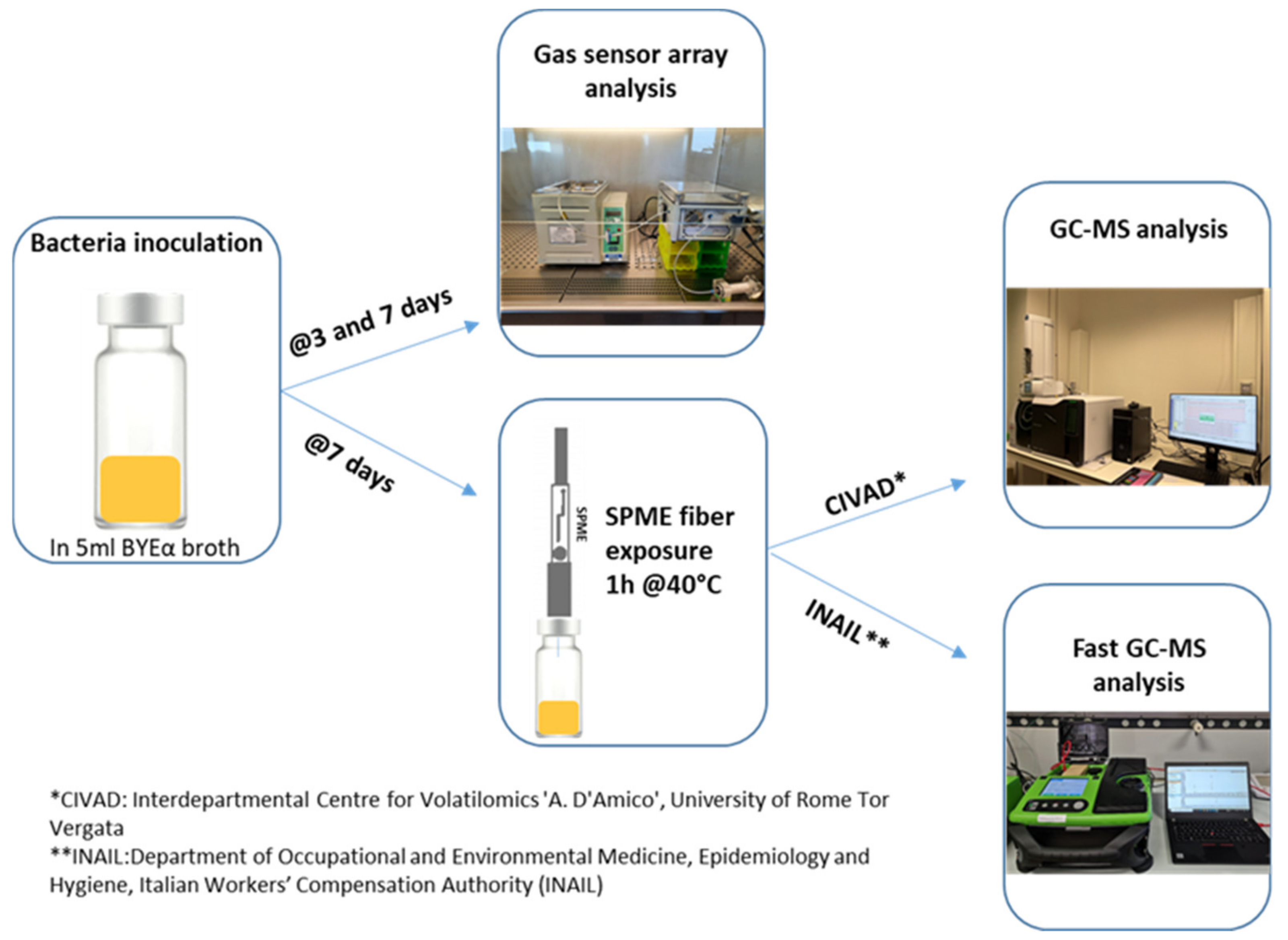 Sensors 23 01401 g001