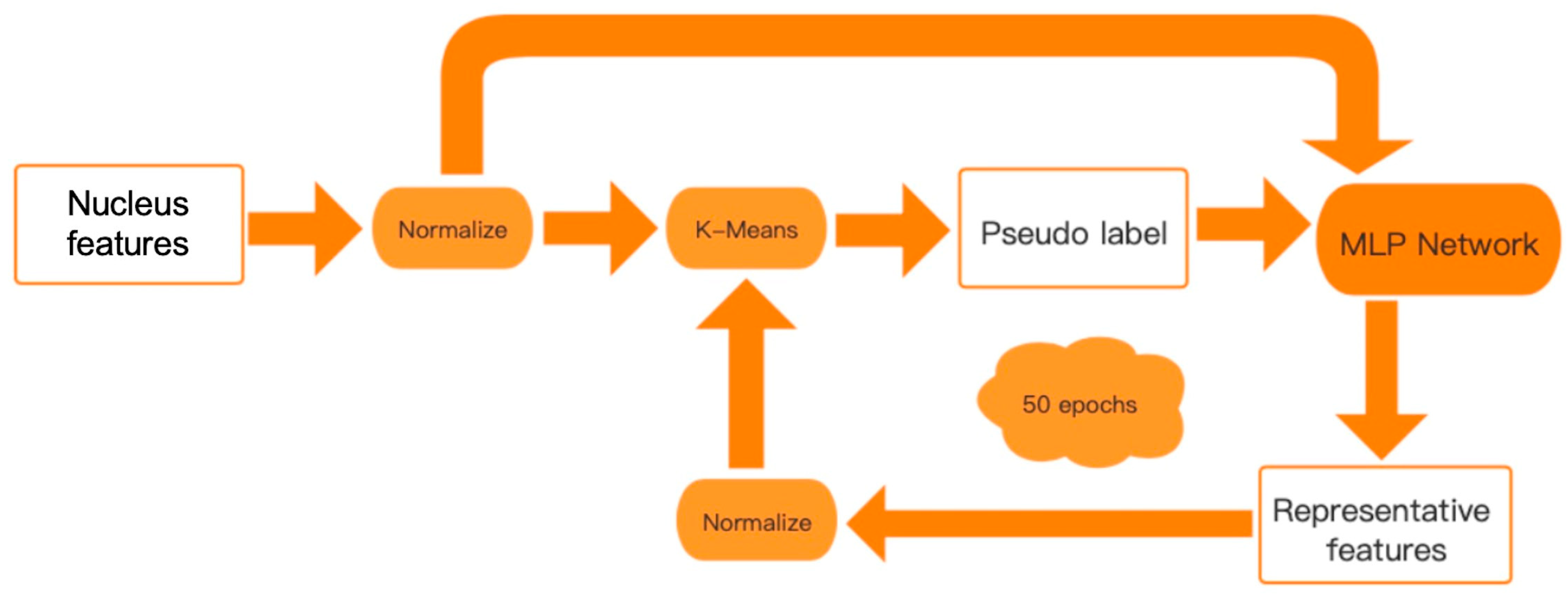 Sensors 23 01432 g001