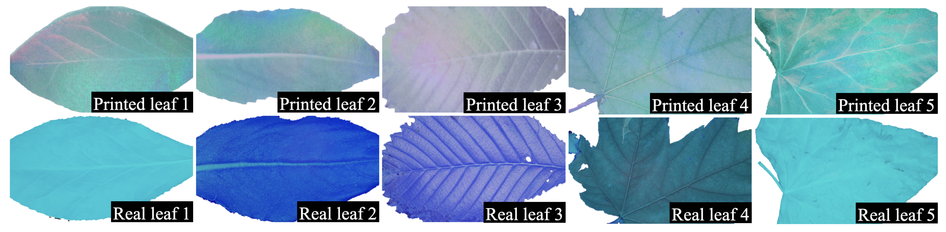 Sensors 23 01437 g011 Sensors 23 01437 g011