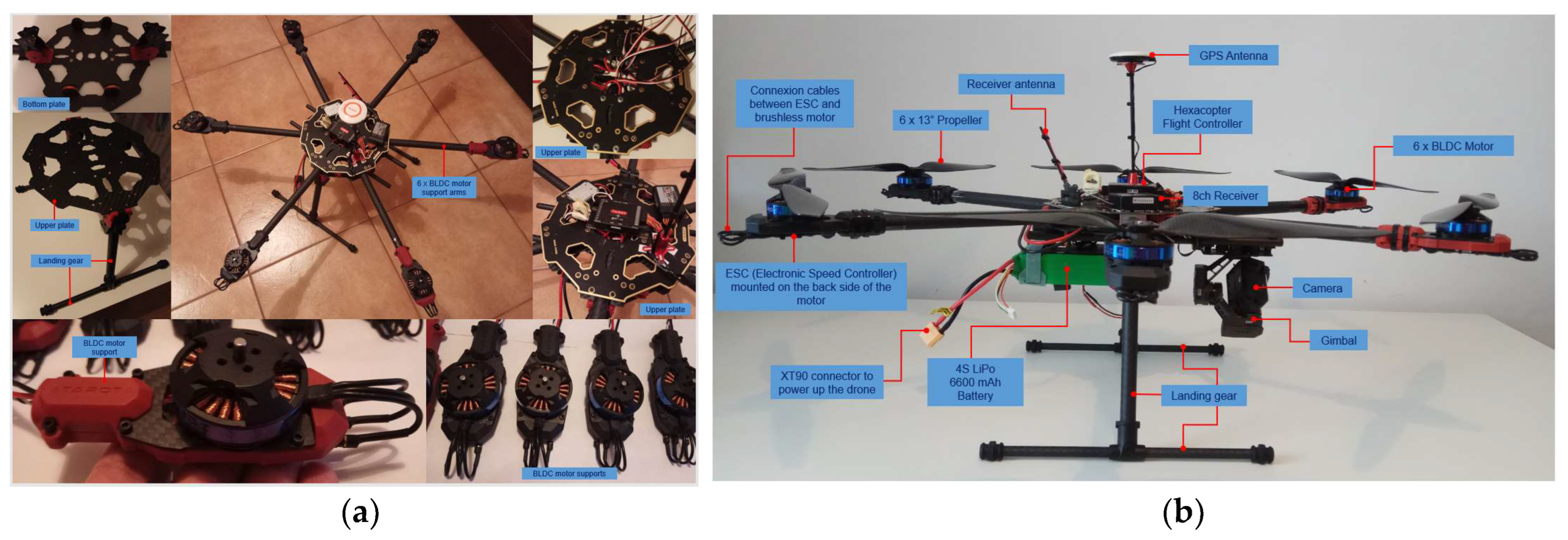 Sensors 23 01446 g003