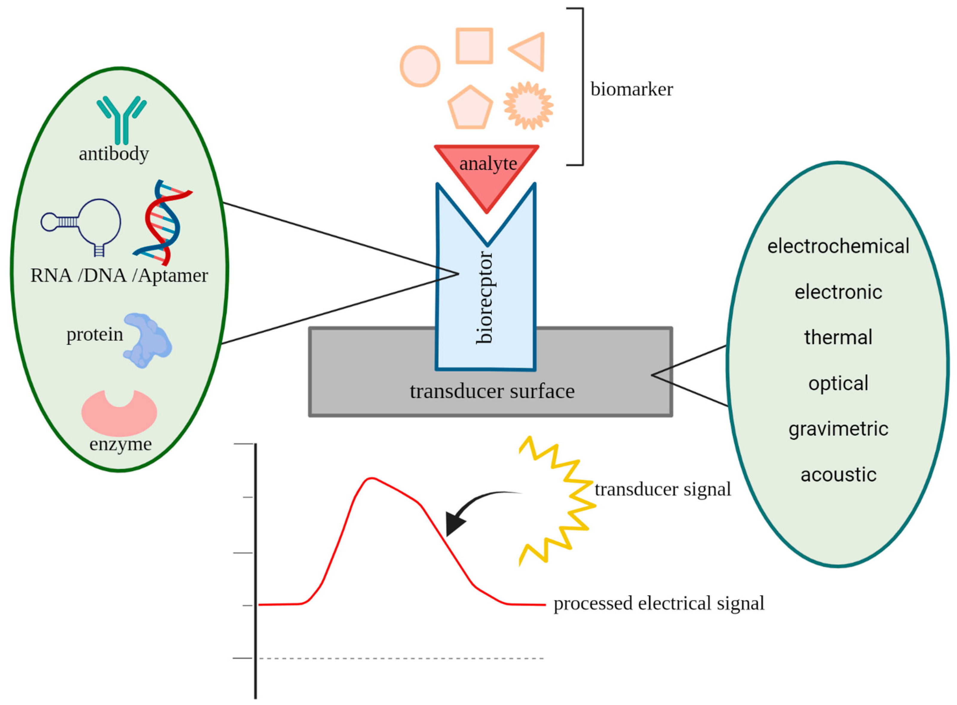 Sensors 23 01482 g001 Sensors 23 01482 g001