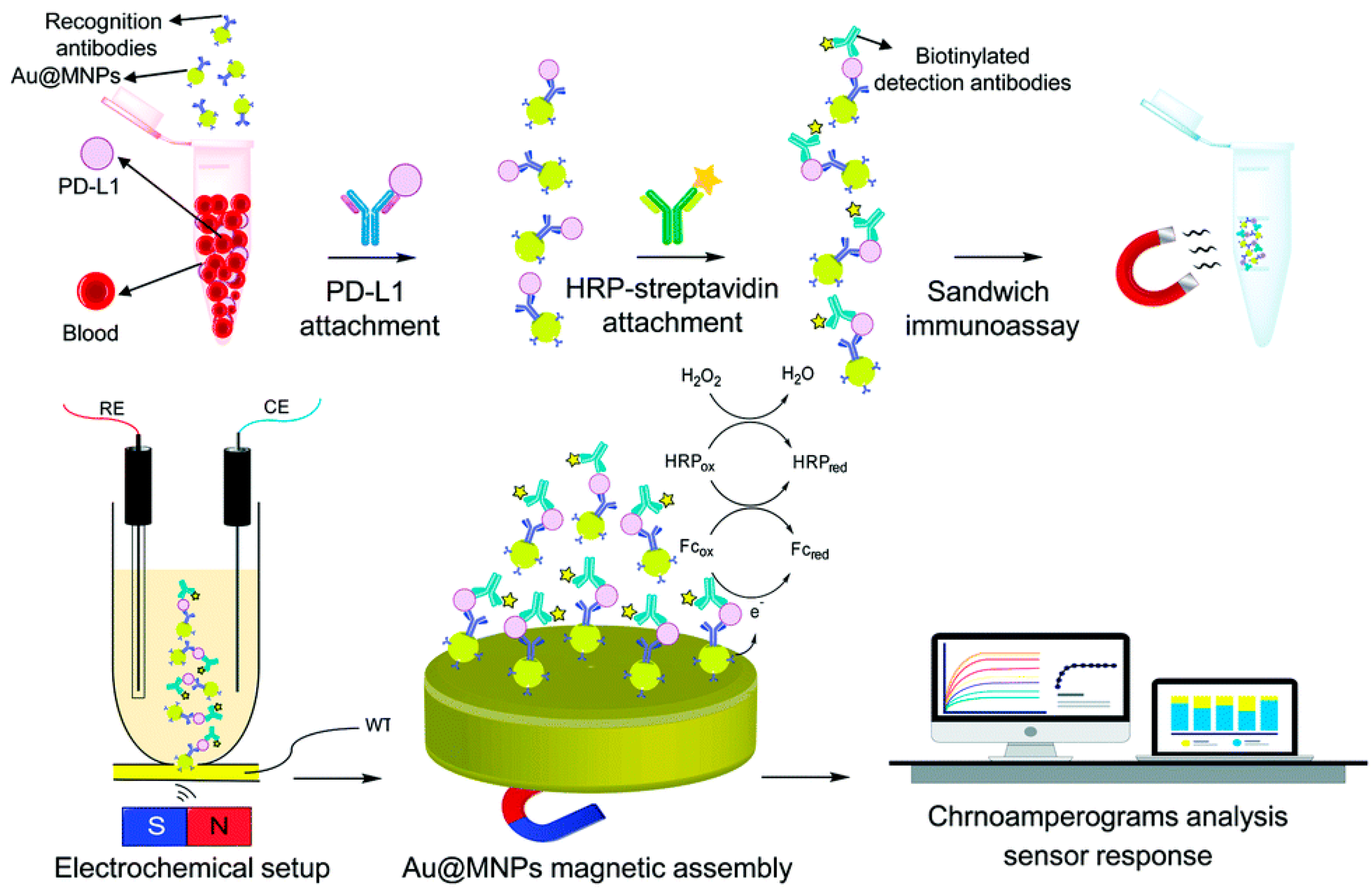 Sensors 23 01482 g004 Sensors 23 01482 g004