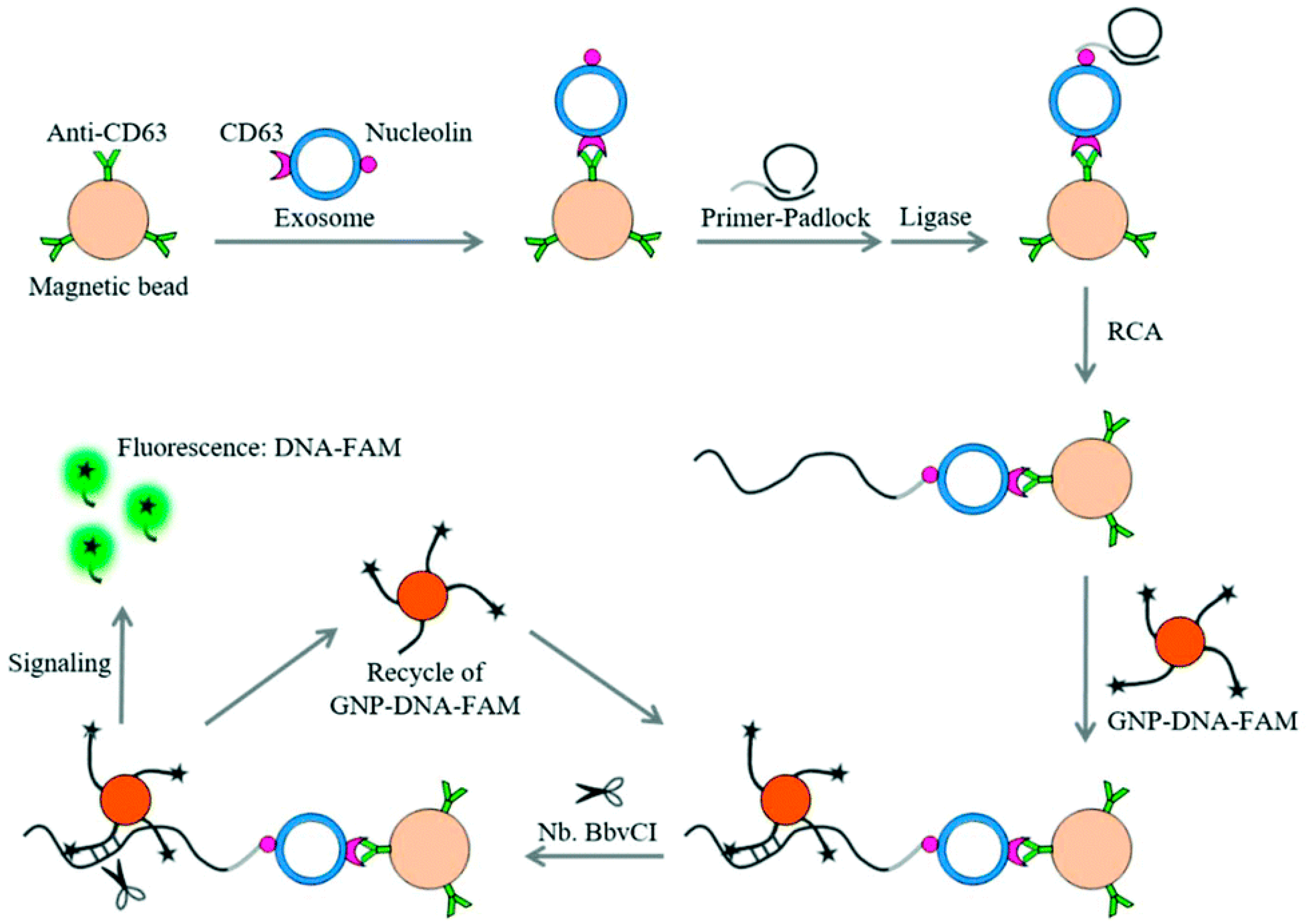 Sensors 23 01482 g005 Sensors 23 01482 g005