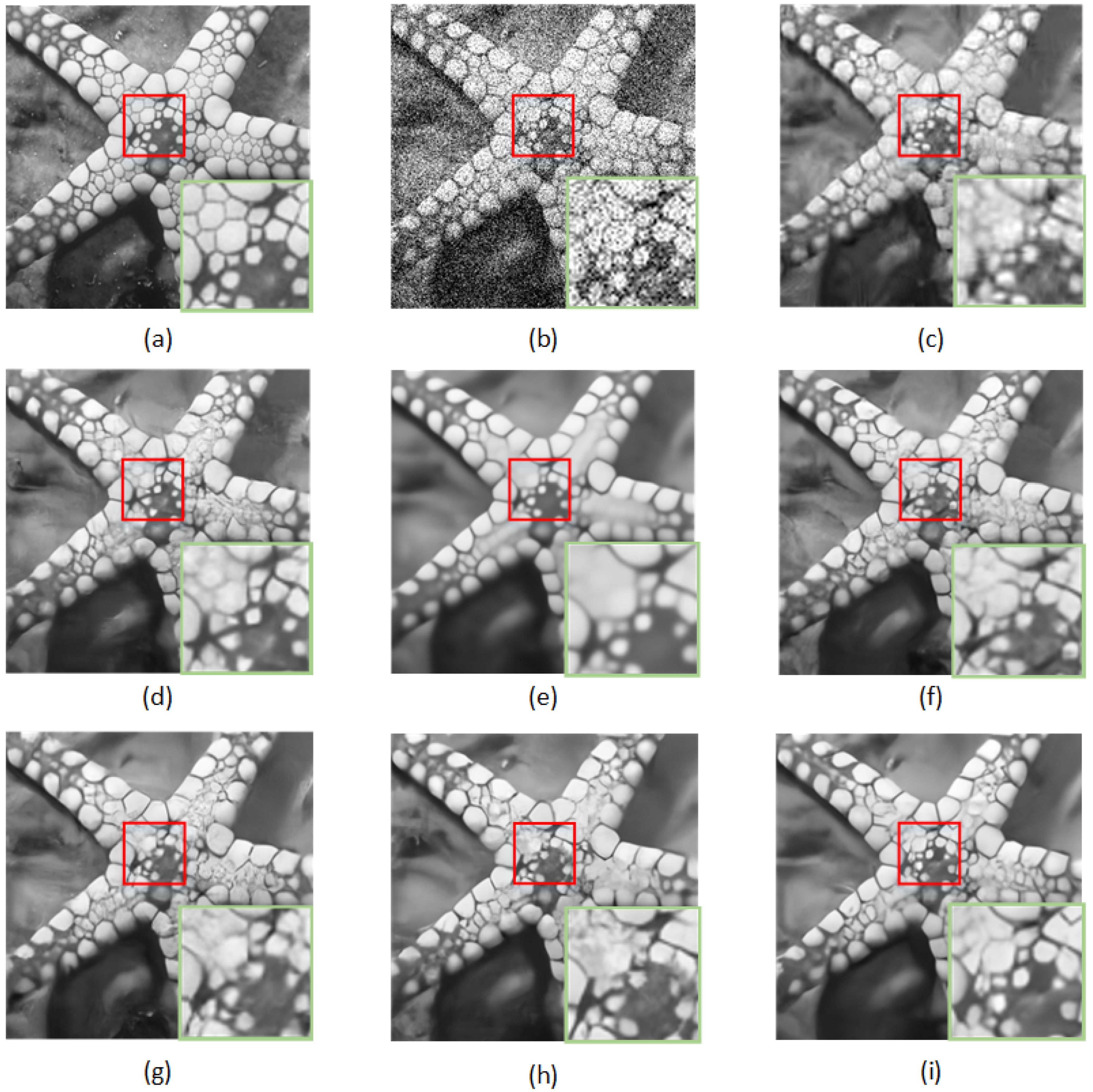 Sensors 23 01486 g005