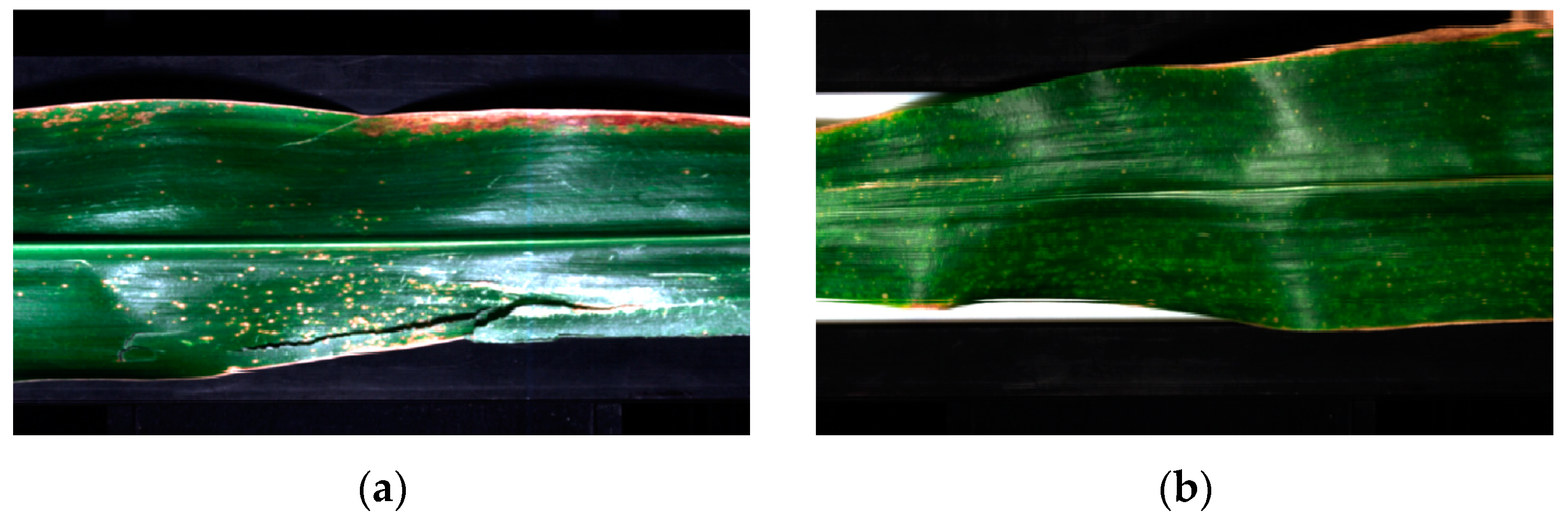 Sensors 23 01494 g003