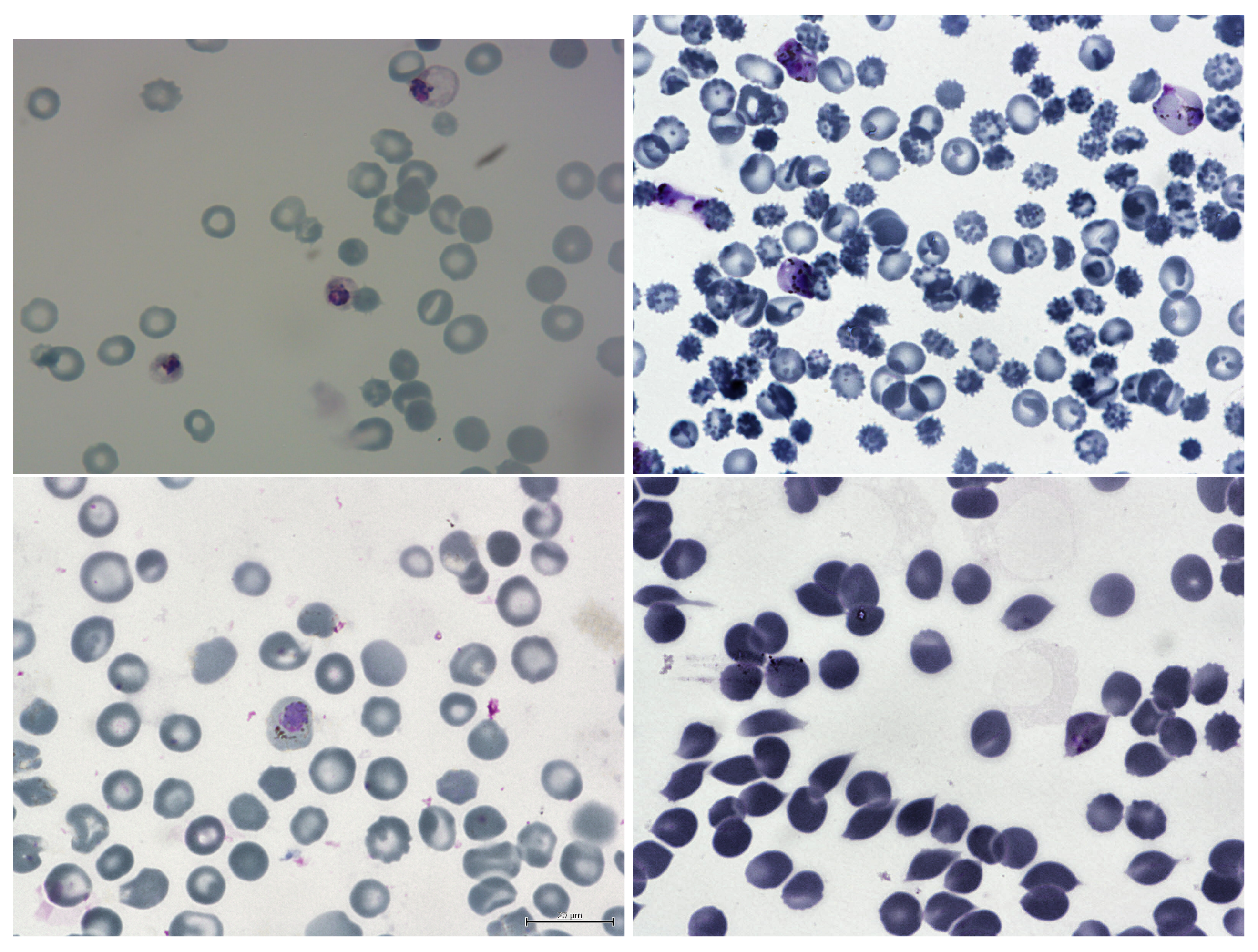 Sensors 23 01501 g002