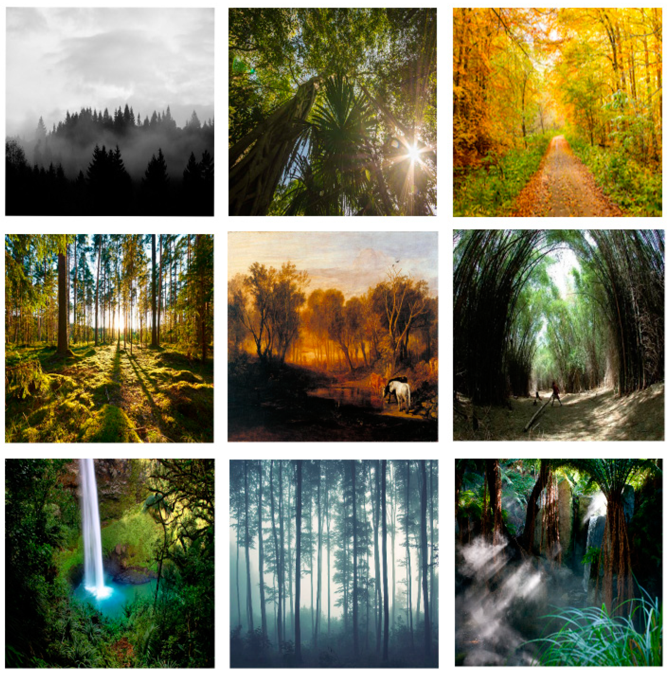 Sensors 23 01512 g005