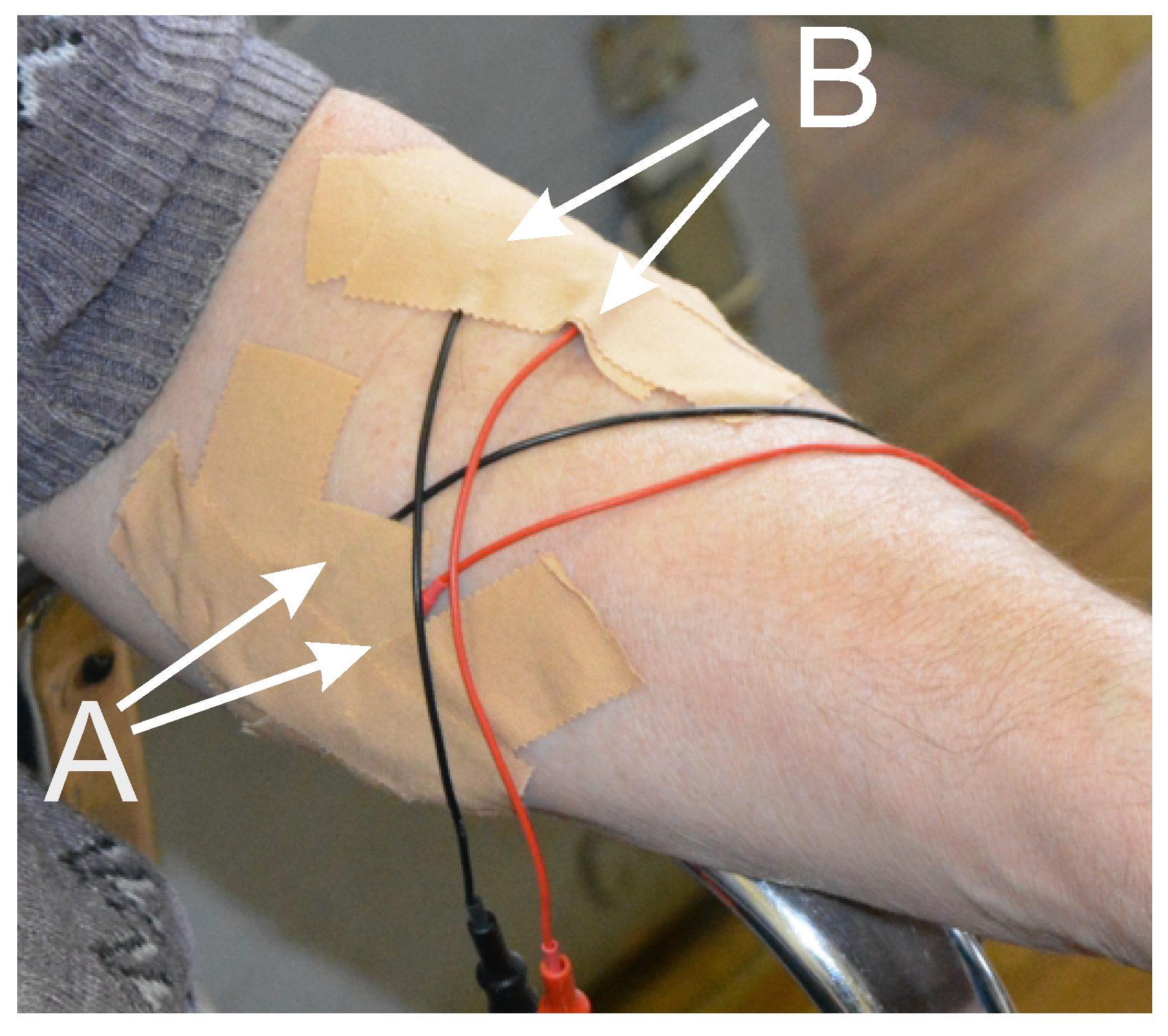 Sensors 23 01531 g002