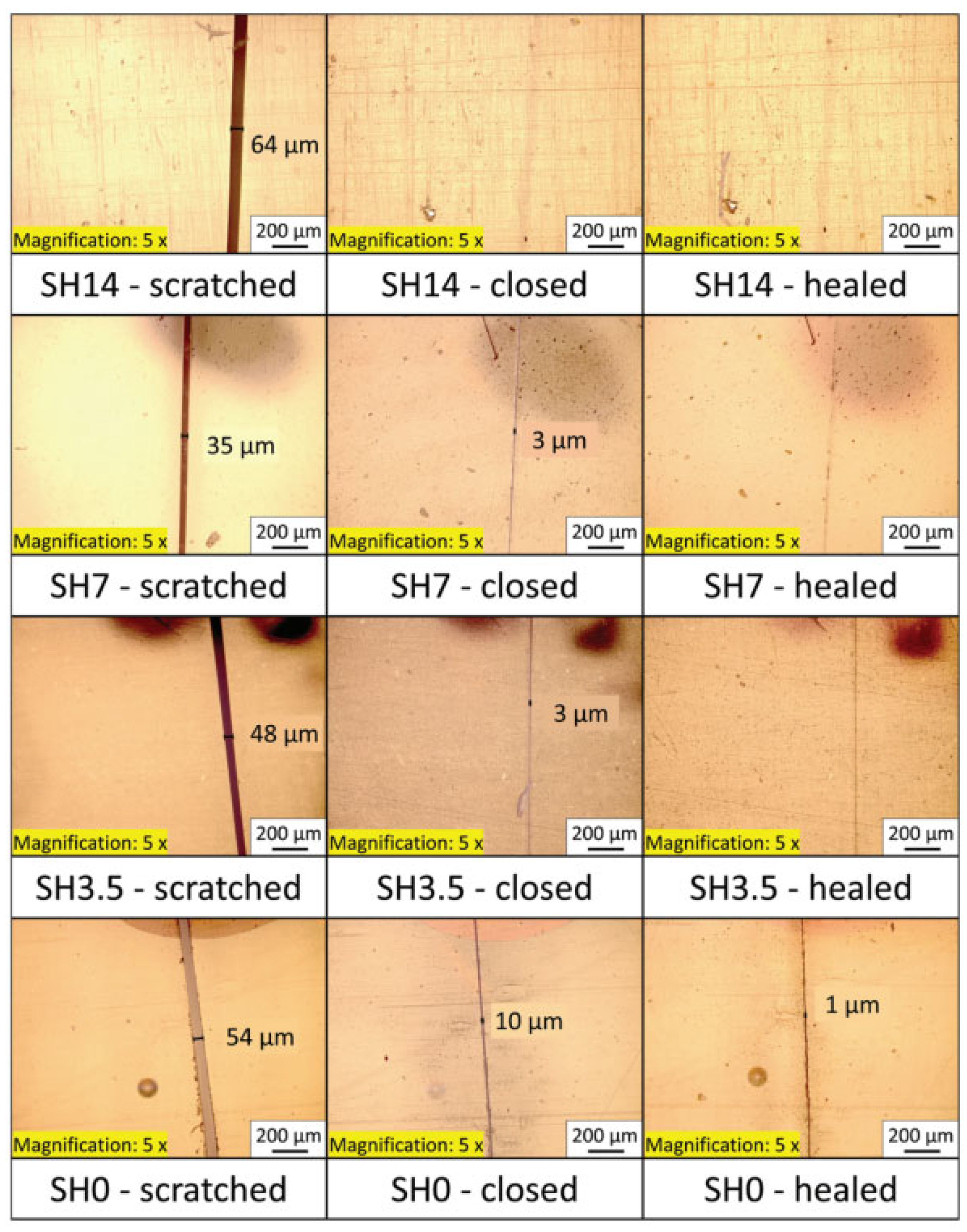 Sensors 23 01545 g006