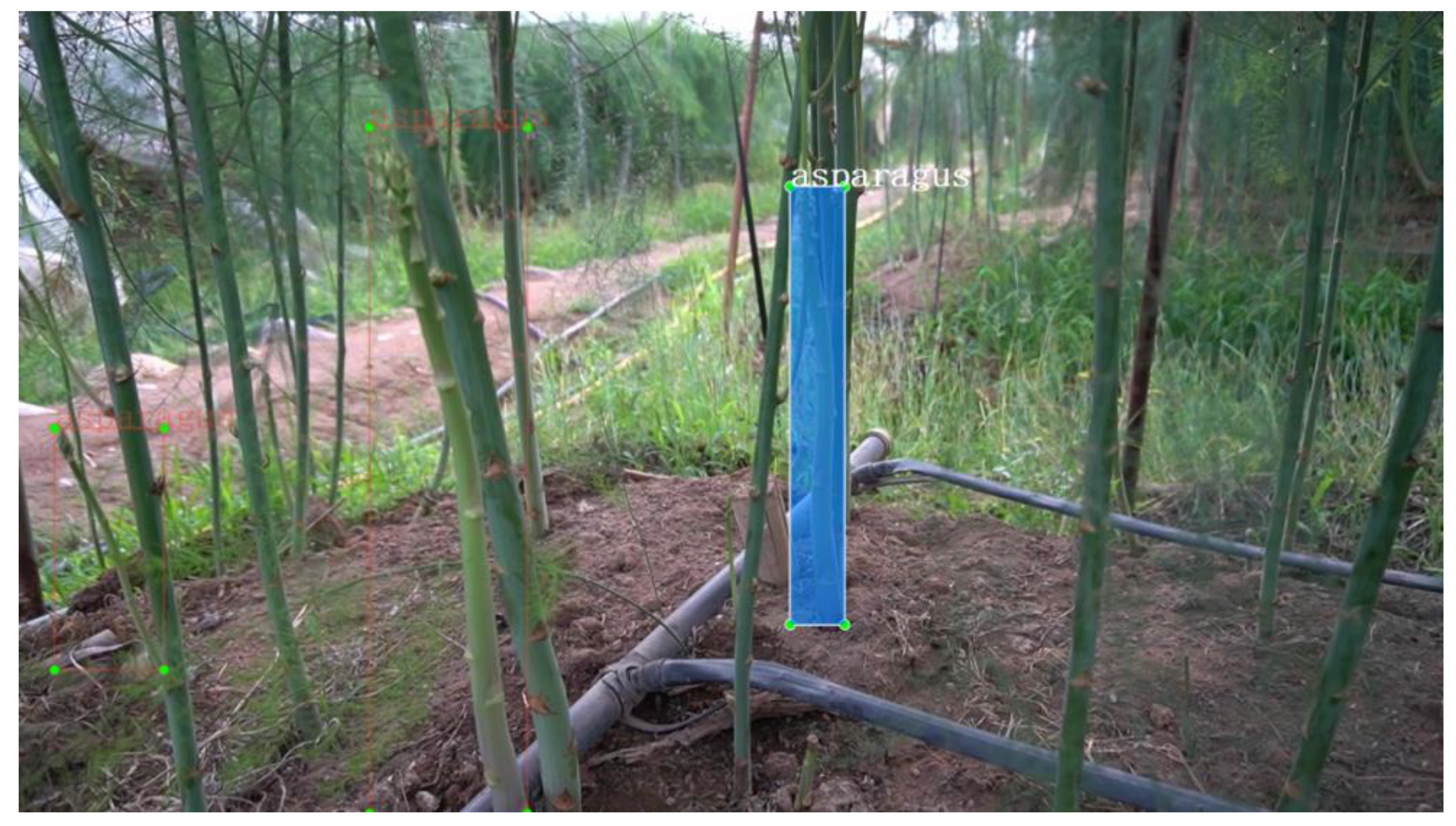 Sensors 23 01562 g003 550