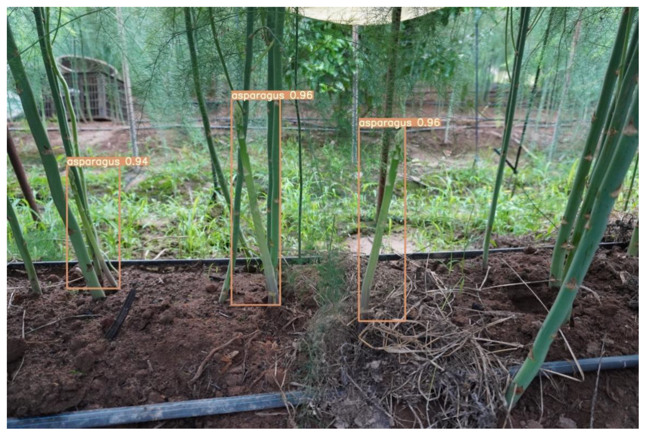 Sensors 23 01562 g013 550