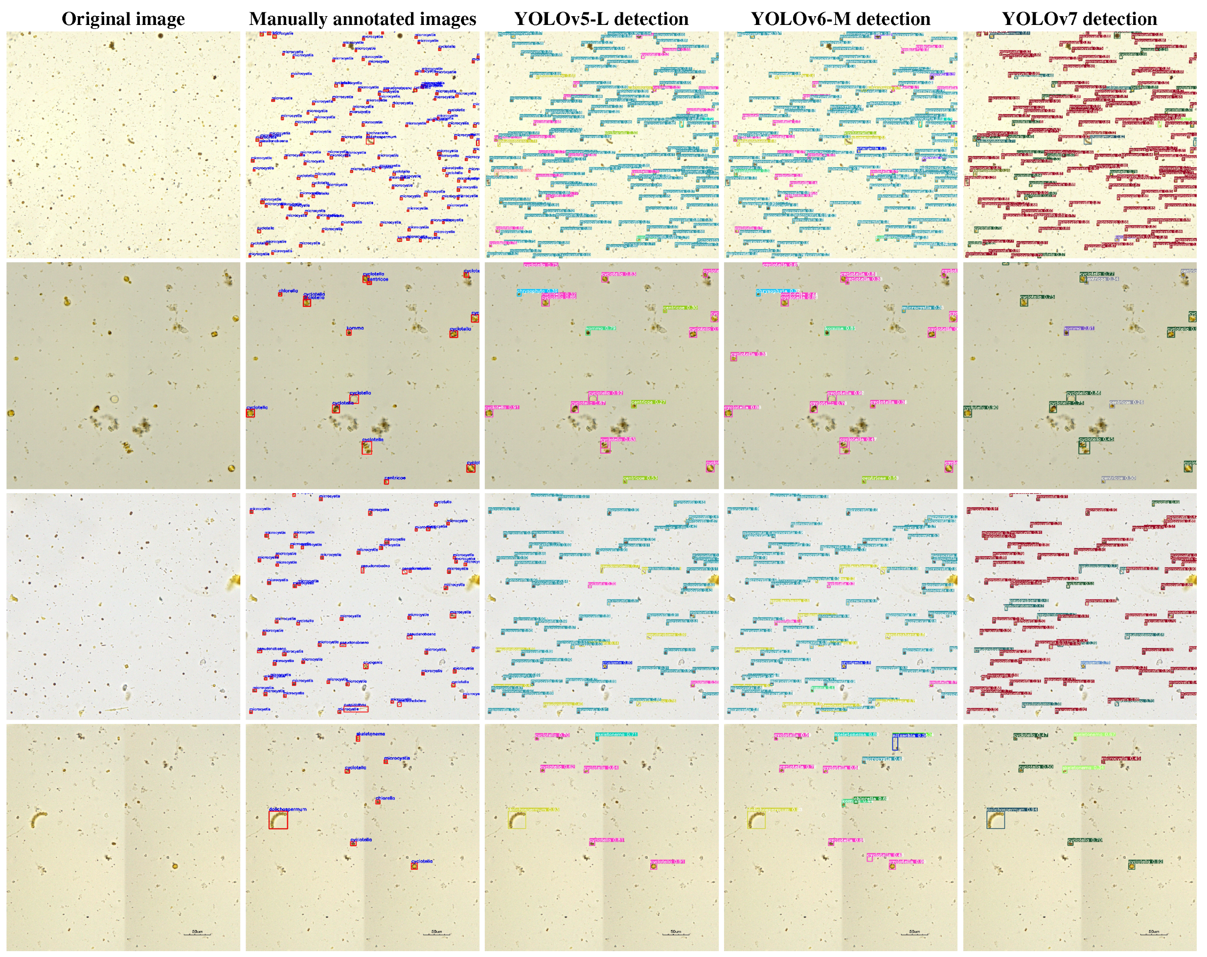 Sensors 23 01609 g004 Sensors 23 01609 g004