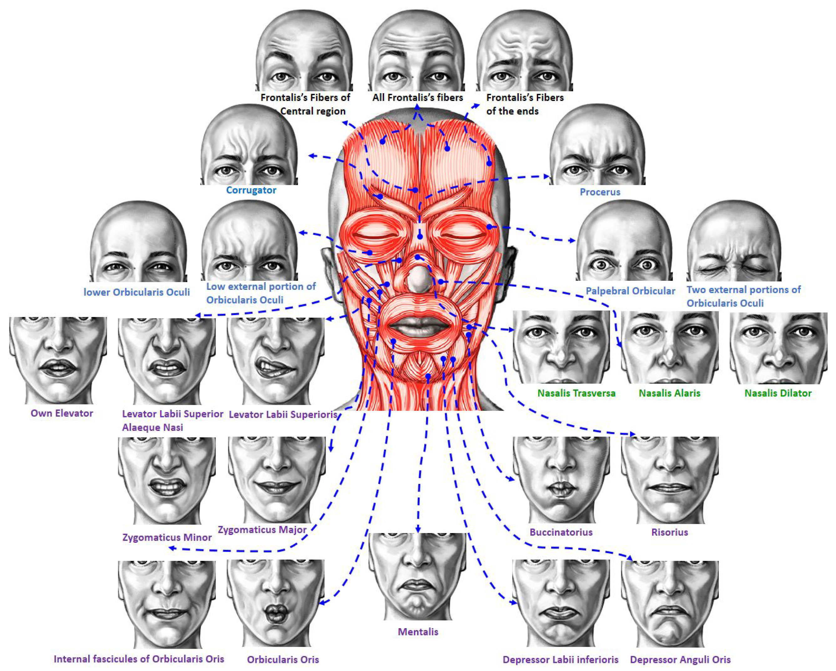 Sensors 23 01614 g001 Sensors 23 01614 g001