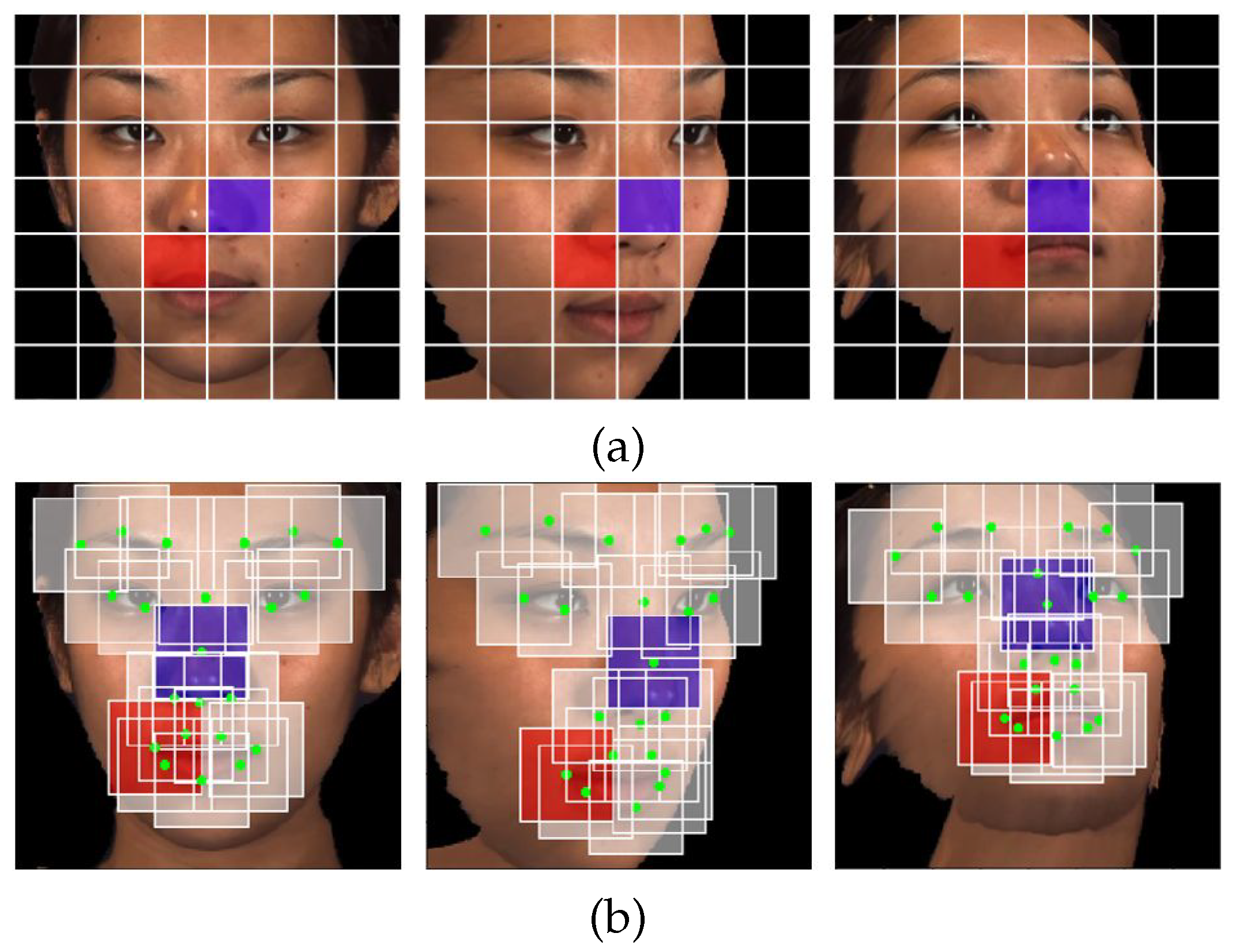 Sensors 23 01614 g005 Sensors 23 01614 g005