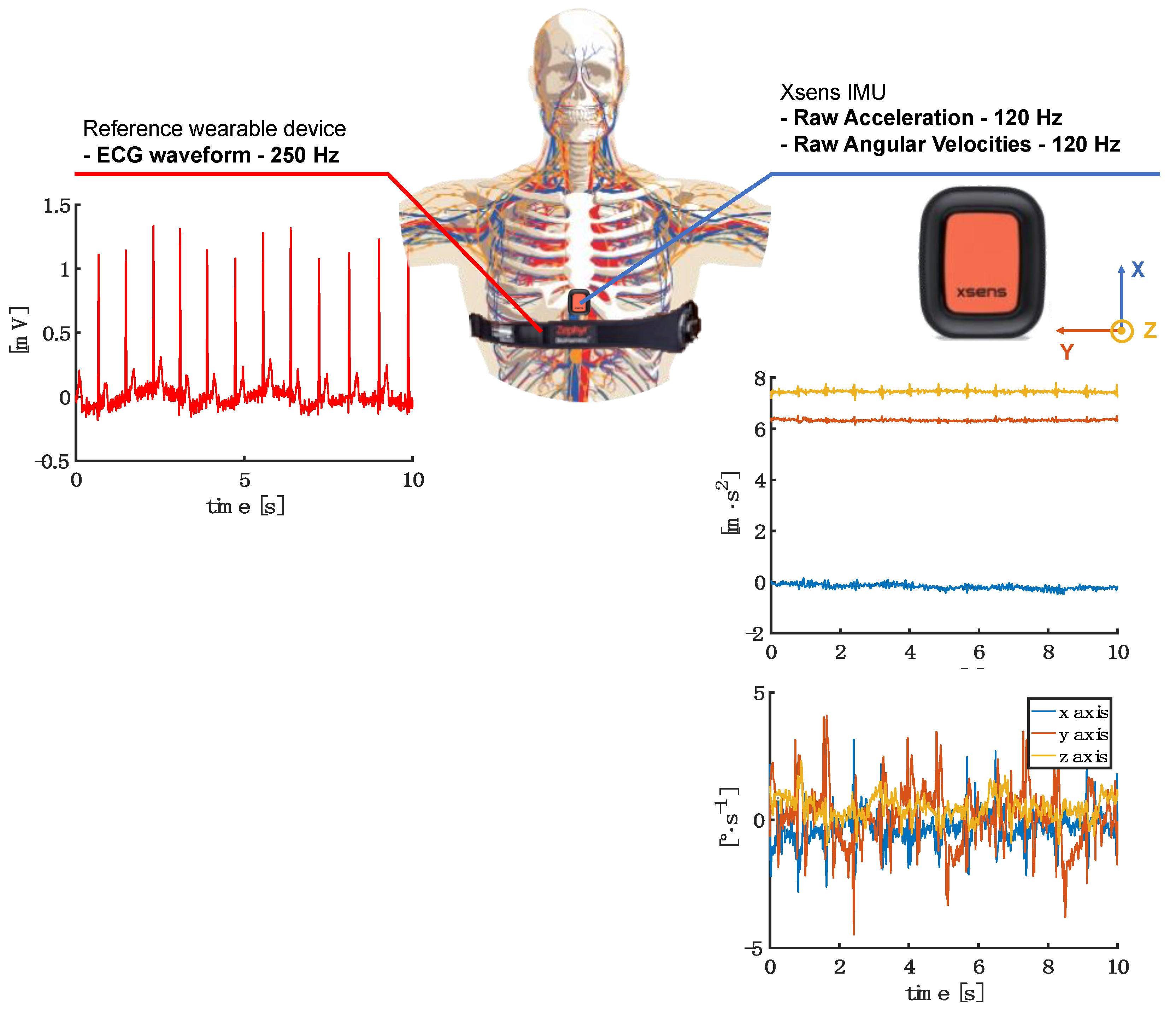 Sensors 23 01615 g001 Sensors 23 01615 g001