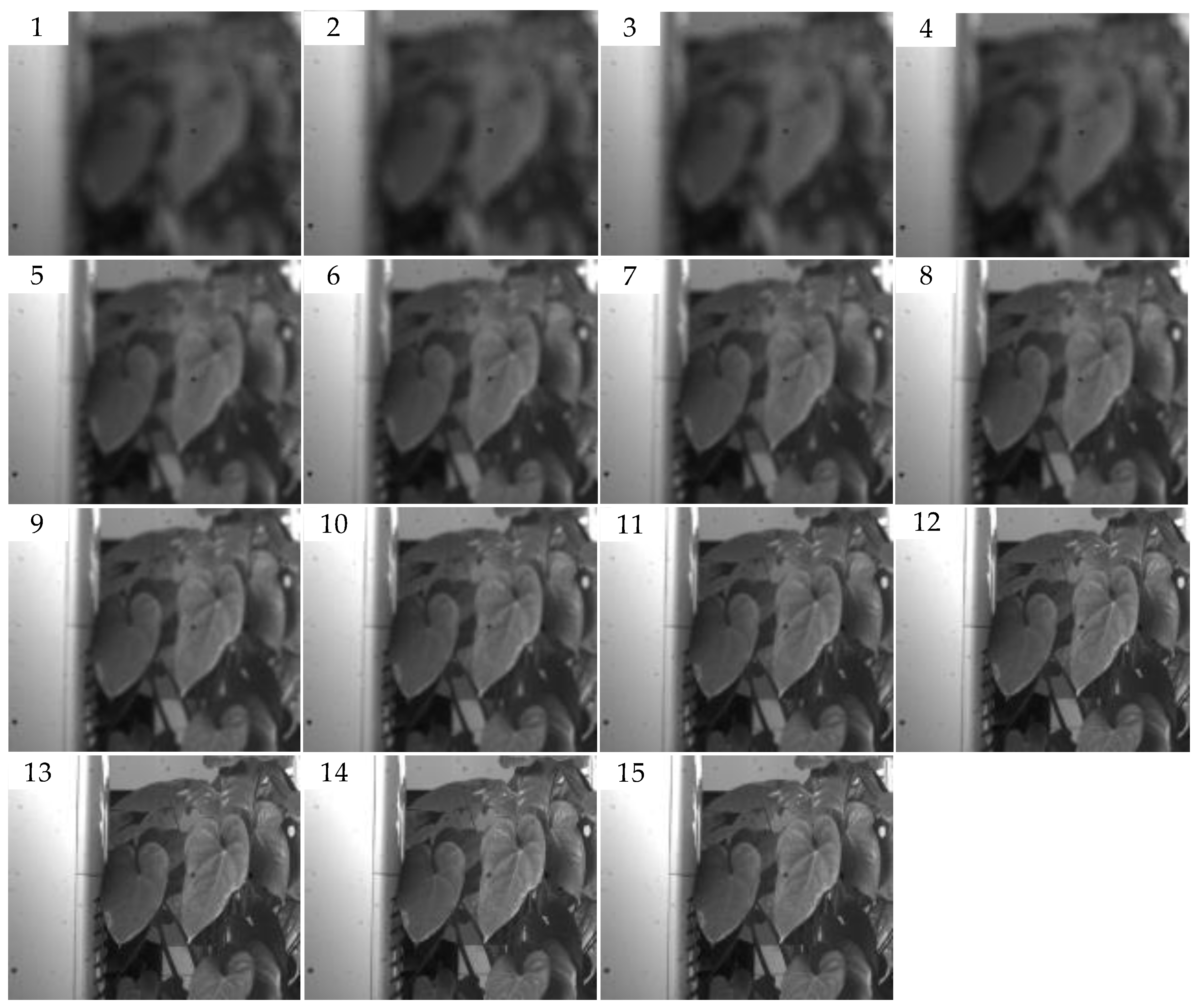 Sensors 23 01621 g004 Sensors 23 01621 g004