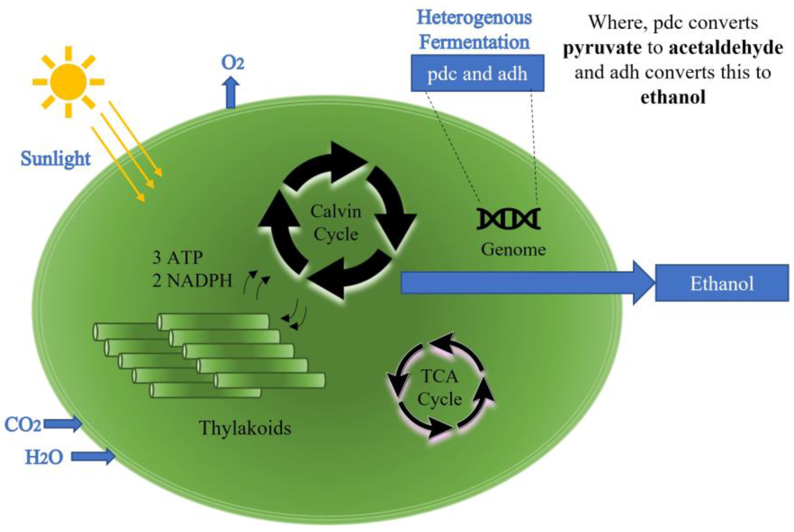 Sensors 23 01644 g001 Sensors 23 01644 g001