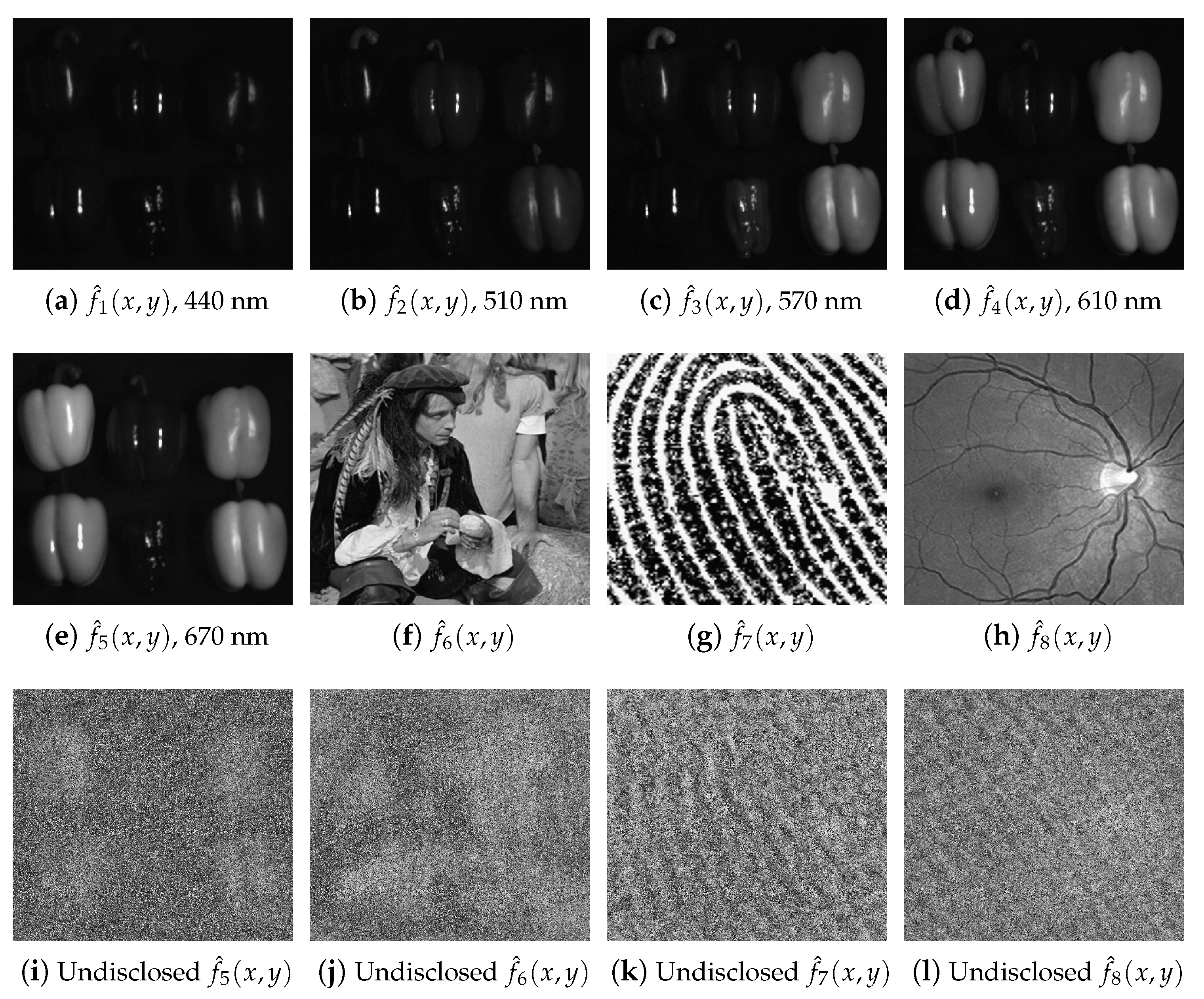 Sensors 23 01679 g004 Sensors 23 01679 g004