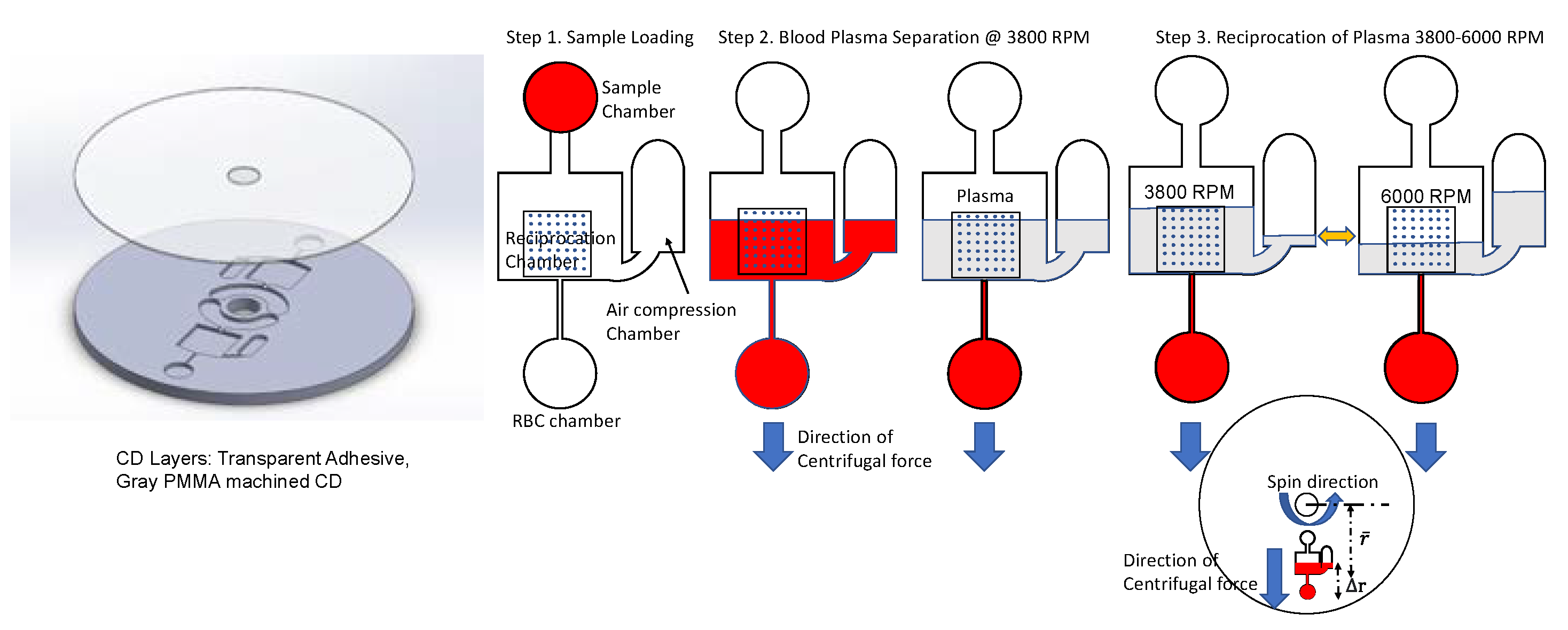 Sensors 23 01710 g001 Sensors 23 01710 g001