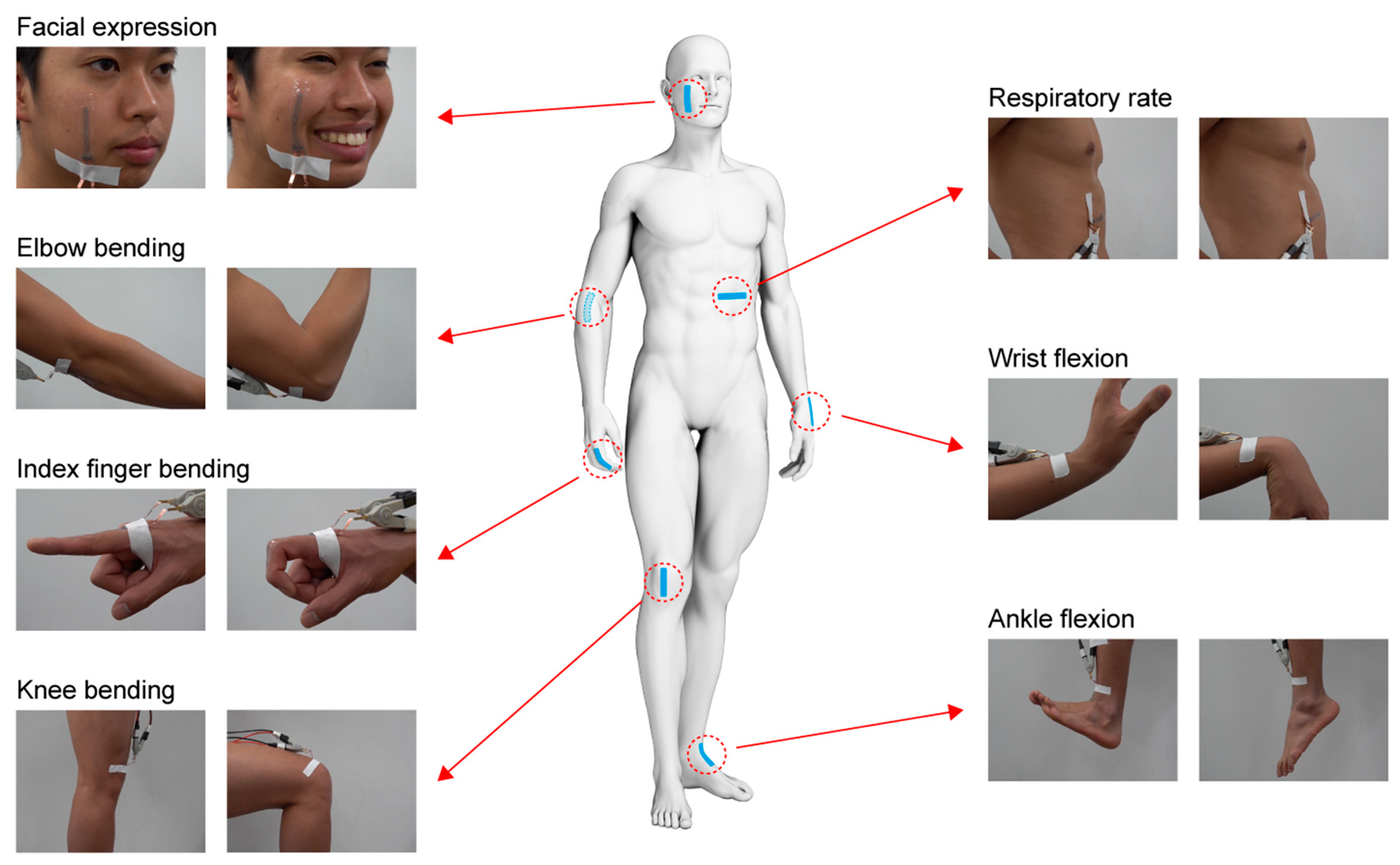 Sensors 23 01774 g006 Sensors 23 01774 g006
