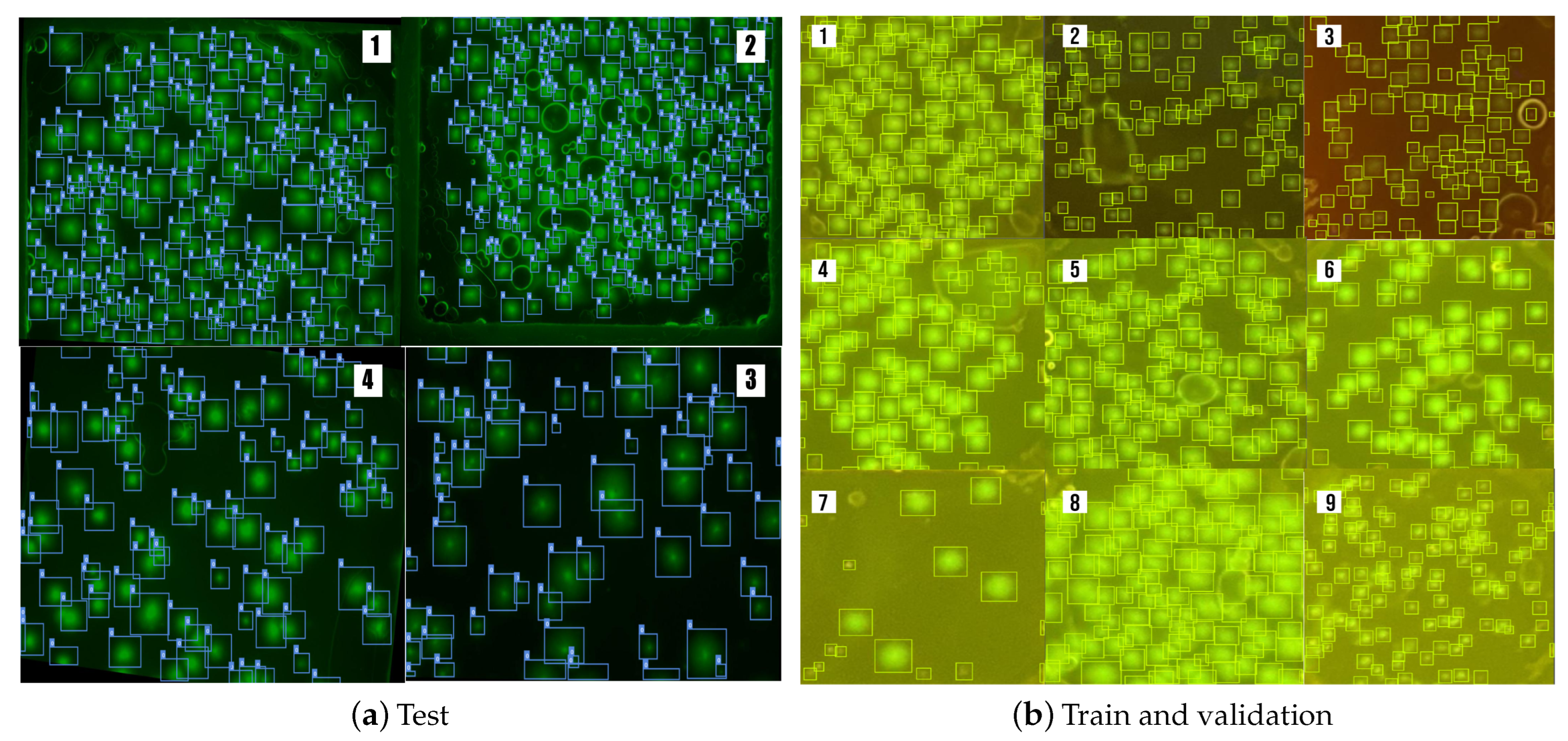 Sensors 23 01794 g011