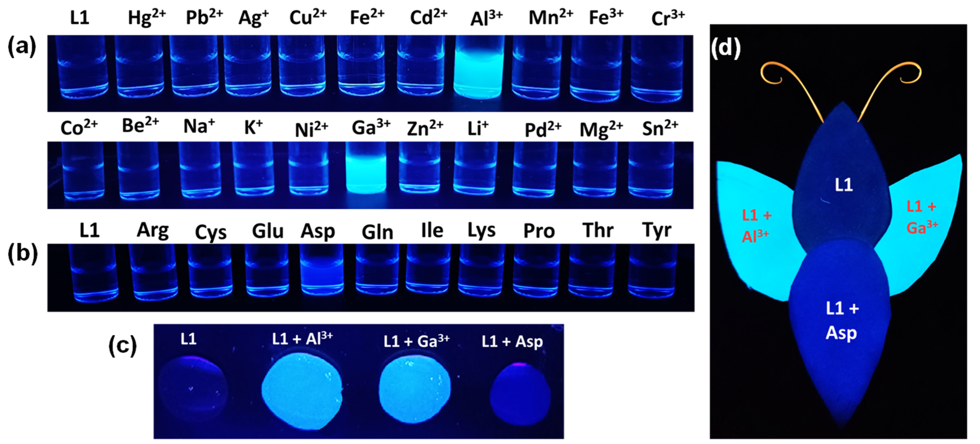 Sensors 23 01798 g014 550