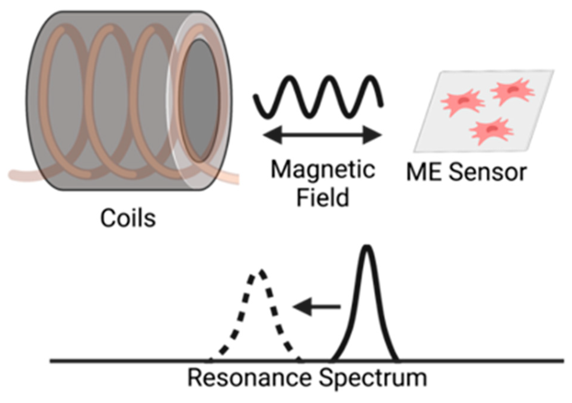 Sensors 23 01832 g001 Sensors 23 01832 g001